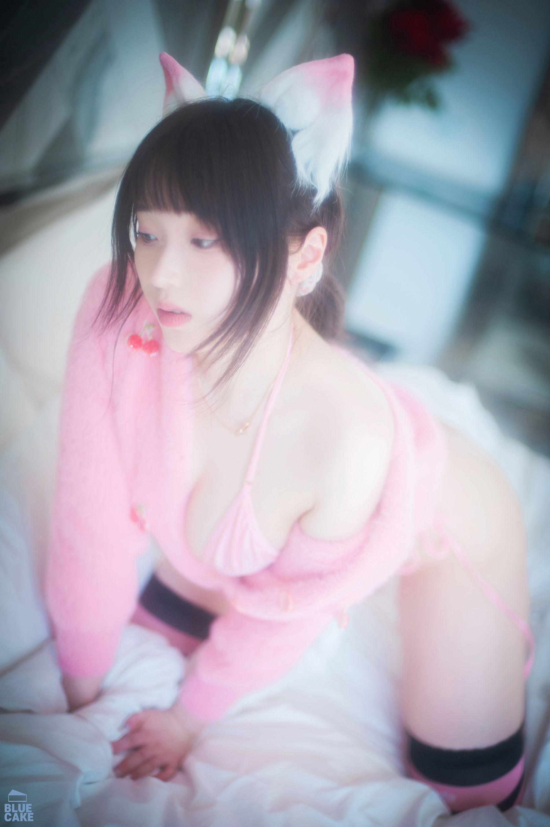 [BLUECAKE] Bambi – Naughty Cats Pink & Mint [168P]