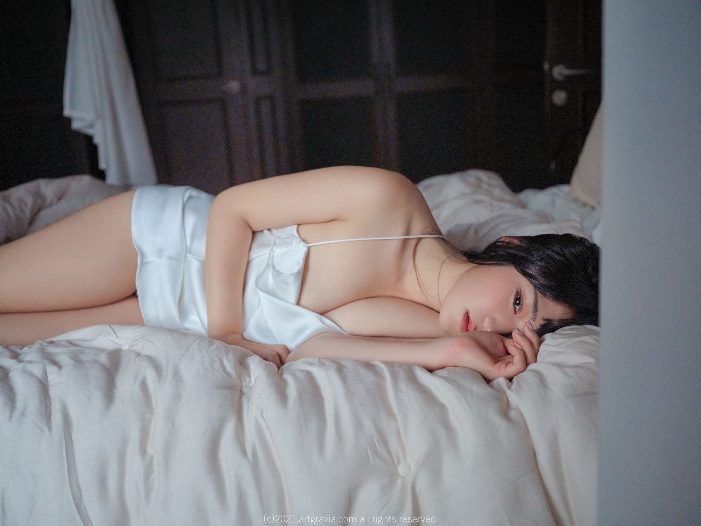 [ARTGRAVIA] VOL.356 hendoong [79P]