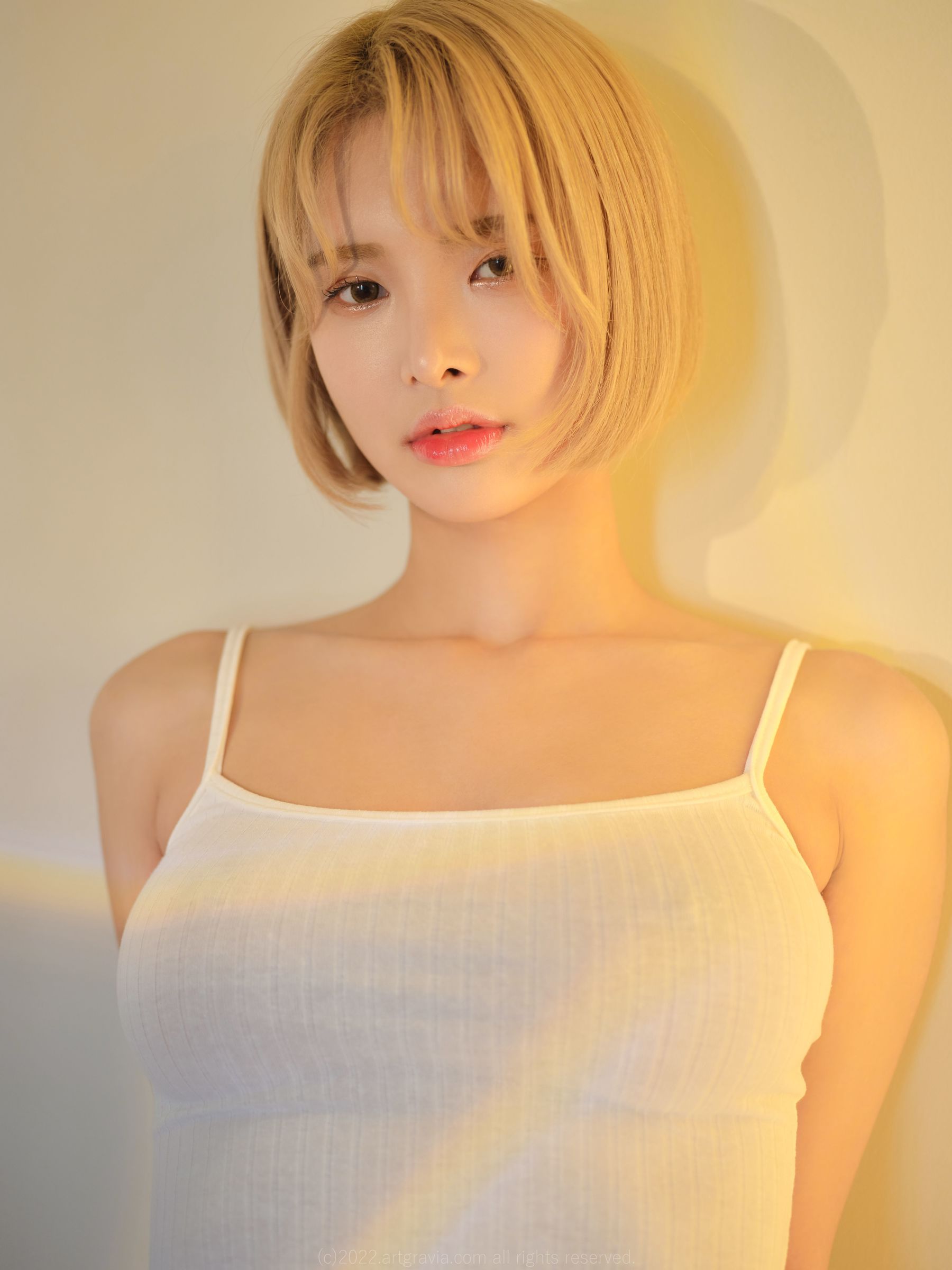 [ARTGRAVIA] VOL.396 HyoYeon [99P]
