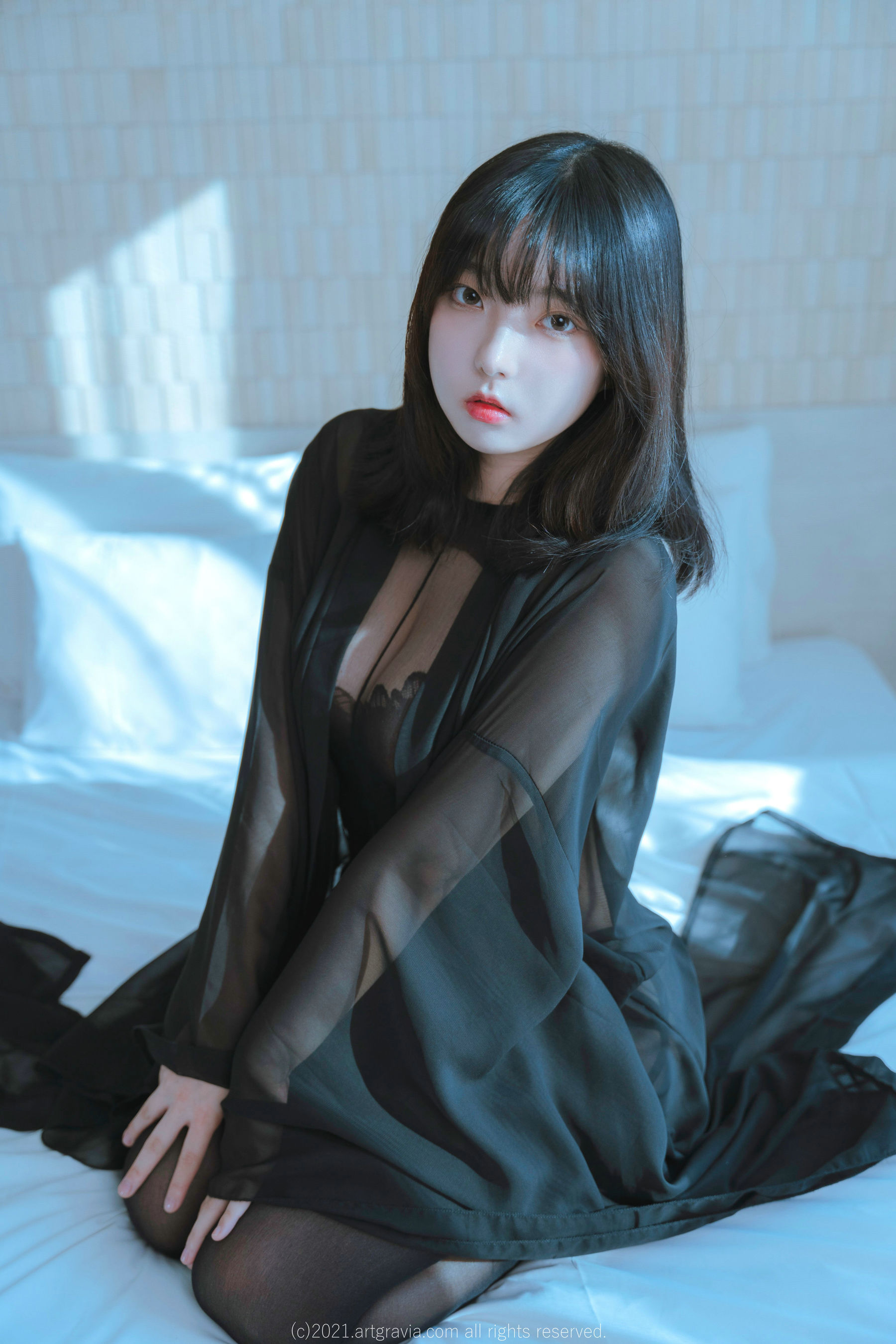 [ARTGRAVIA] Hansom [93P]
