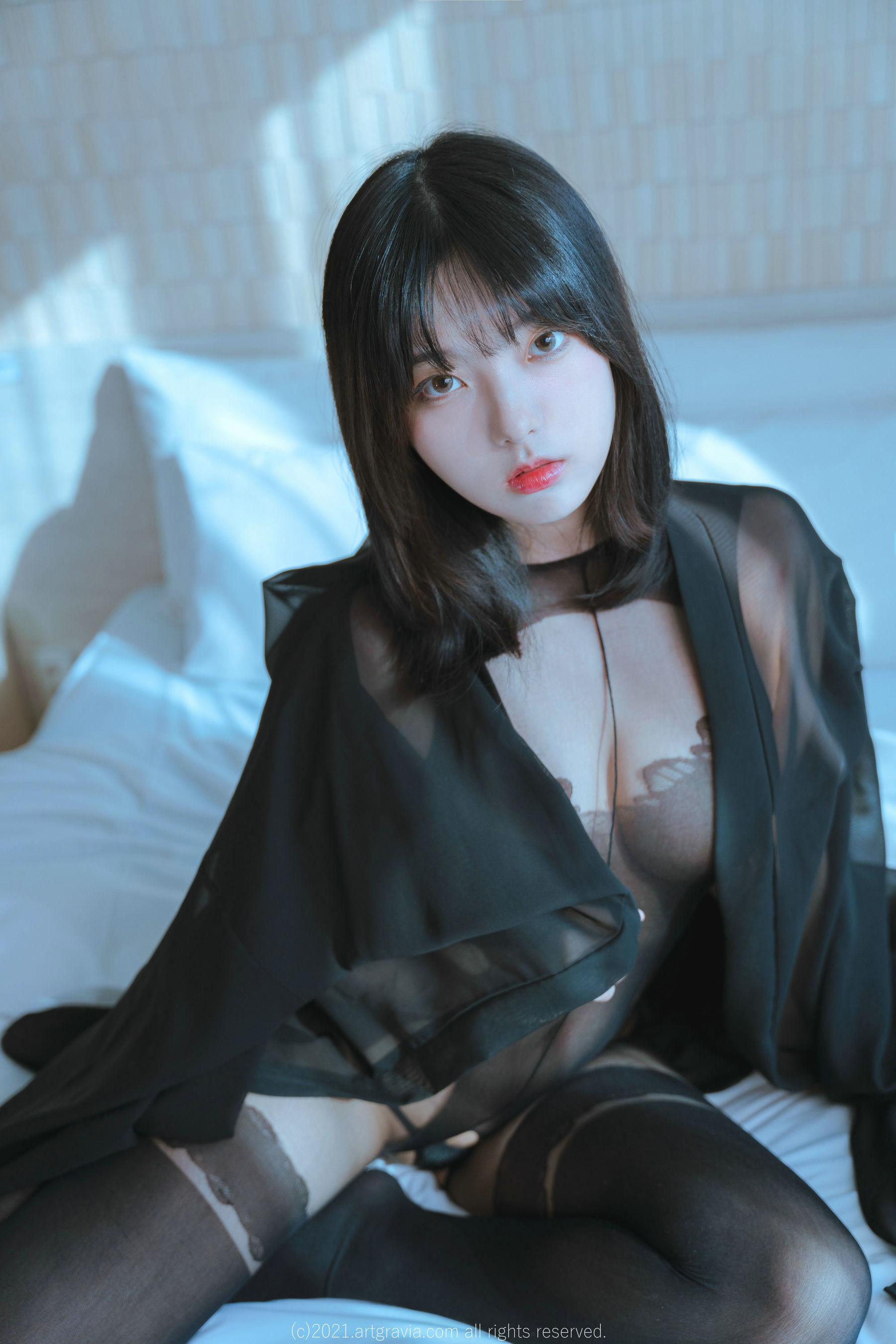[ARTGRAVIA] Hansom [93P]
