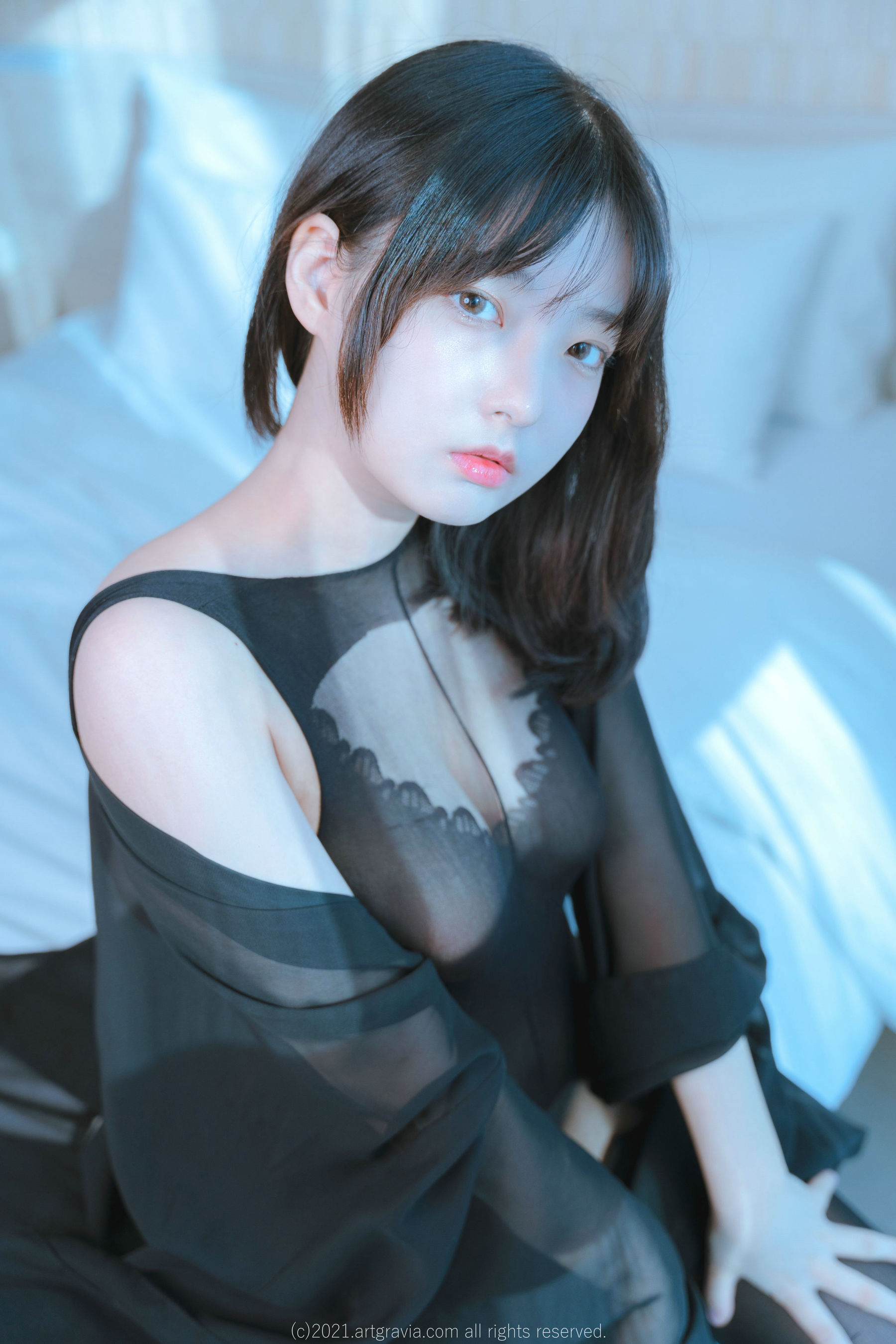 [ARTGRAVIA] Hansom [93P]