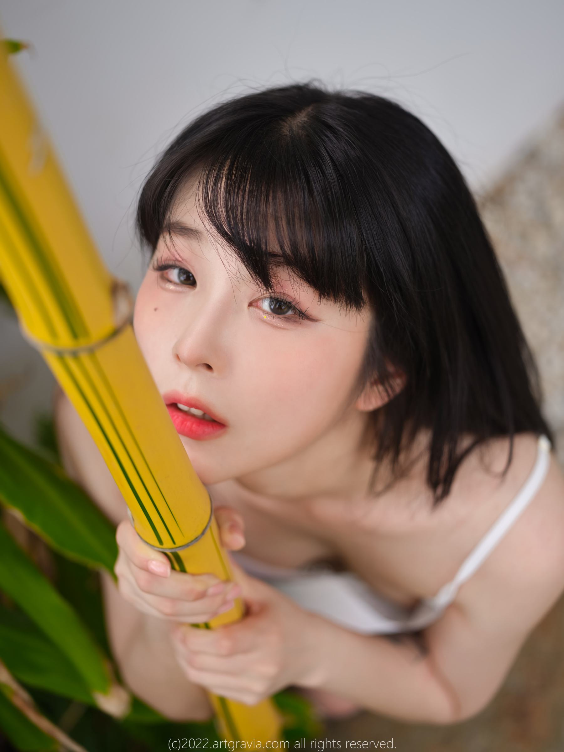 [ARTGRAVIA] VOL.454 JangJoo [73P]