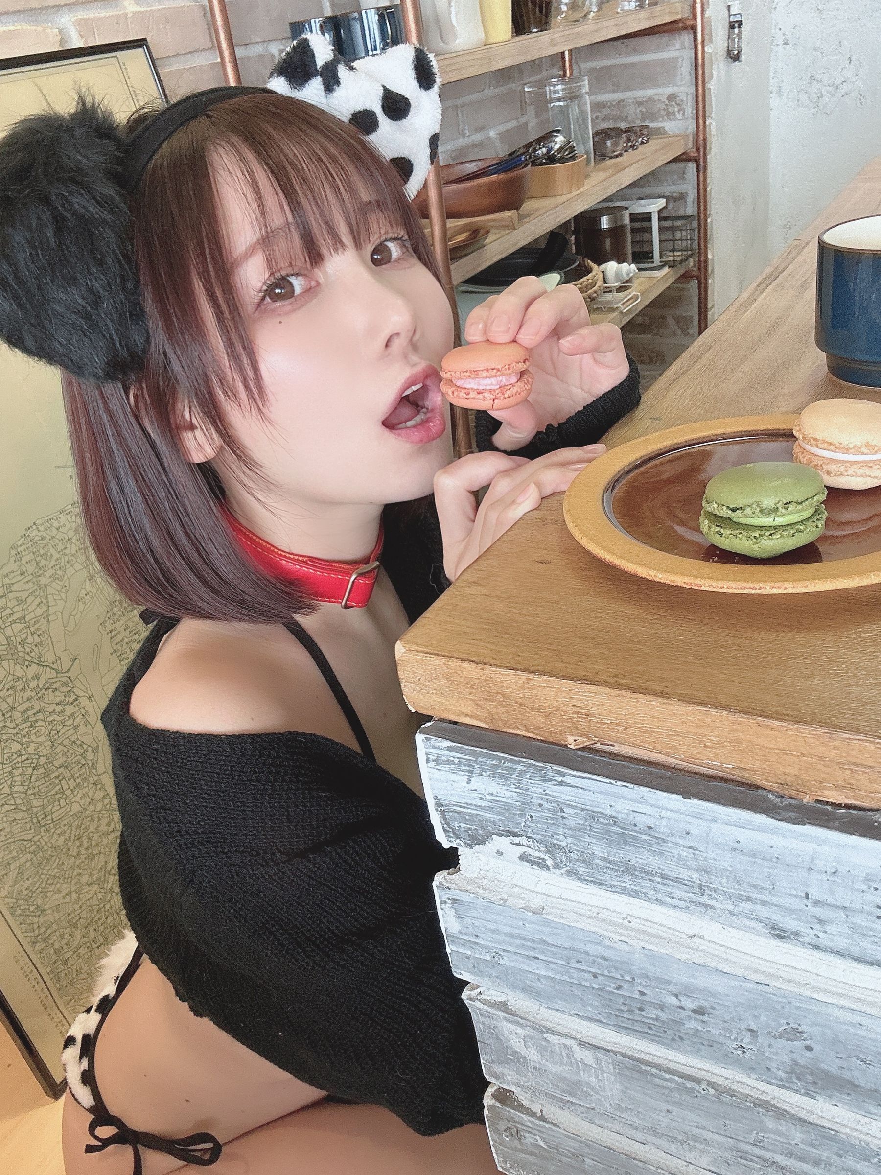 日本甜美COSERけんけん[fantia] 2022-11-17 けん犬 [18P]