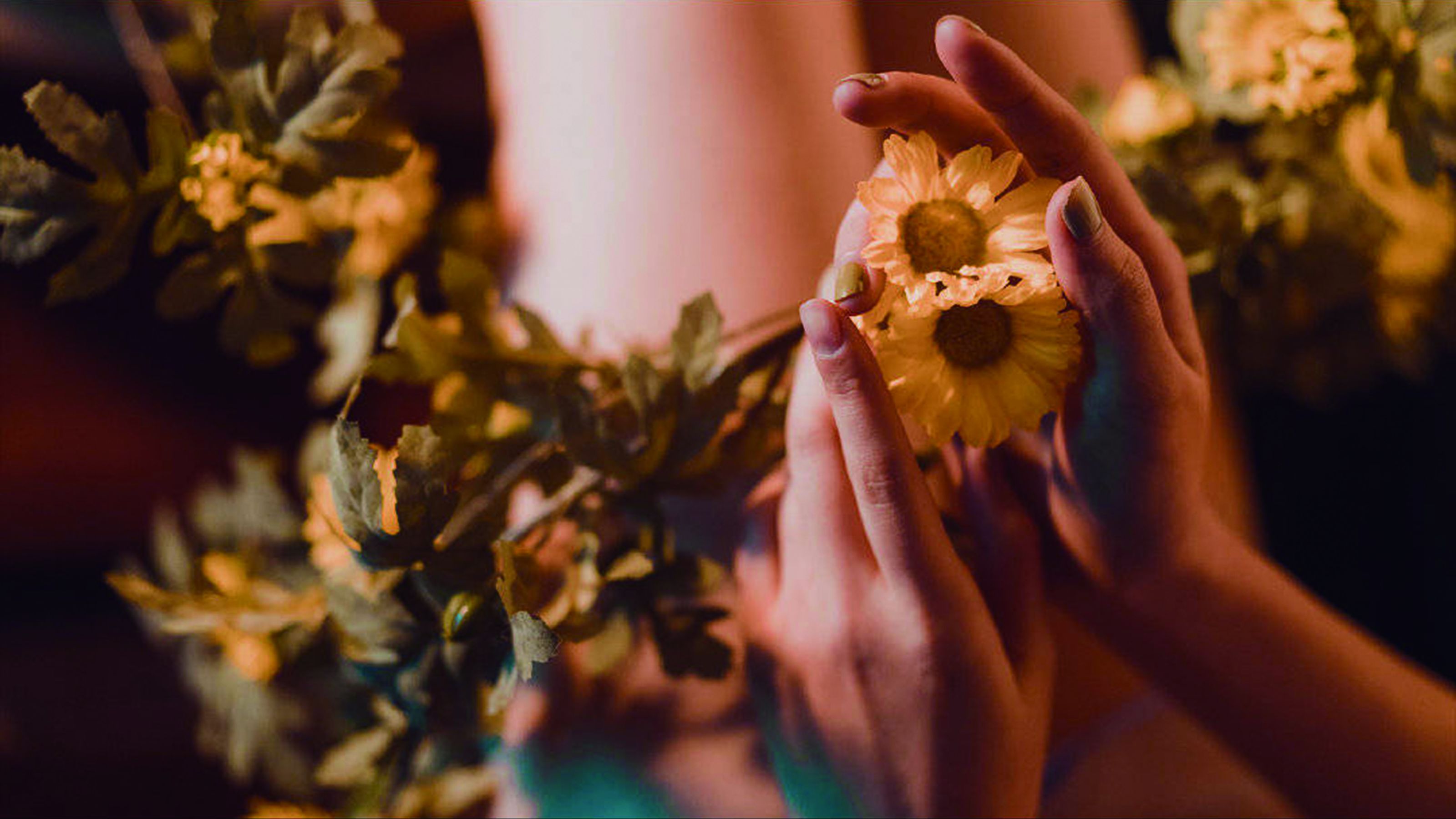 萌妹奈汐酱nice 小雏菊 [18P]