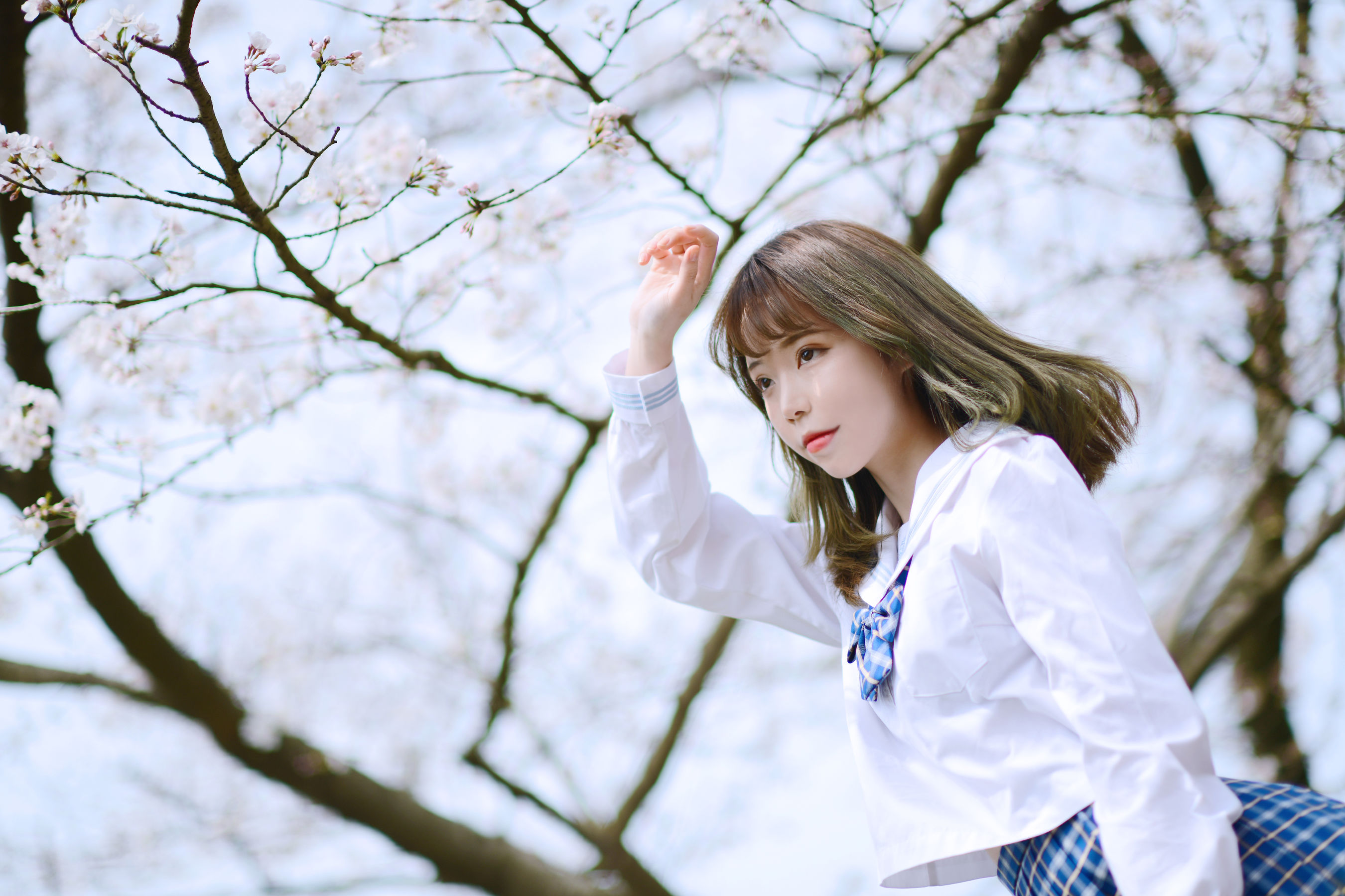 可爱妹子Fushii_海堂 – 樱花树下 [41P]