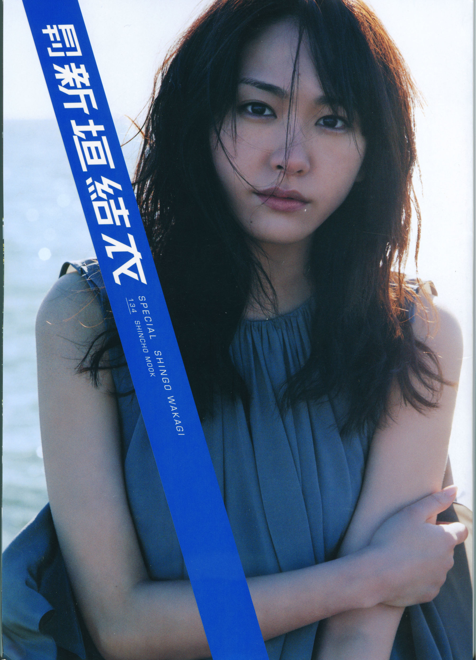 新垣结衣 月刊 Special [114P]