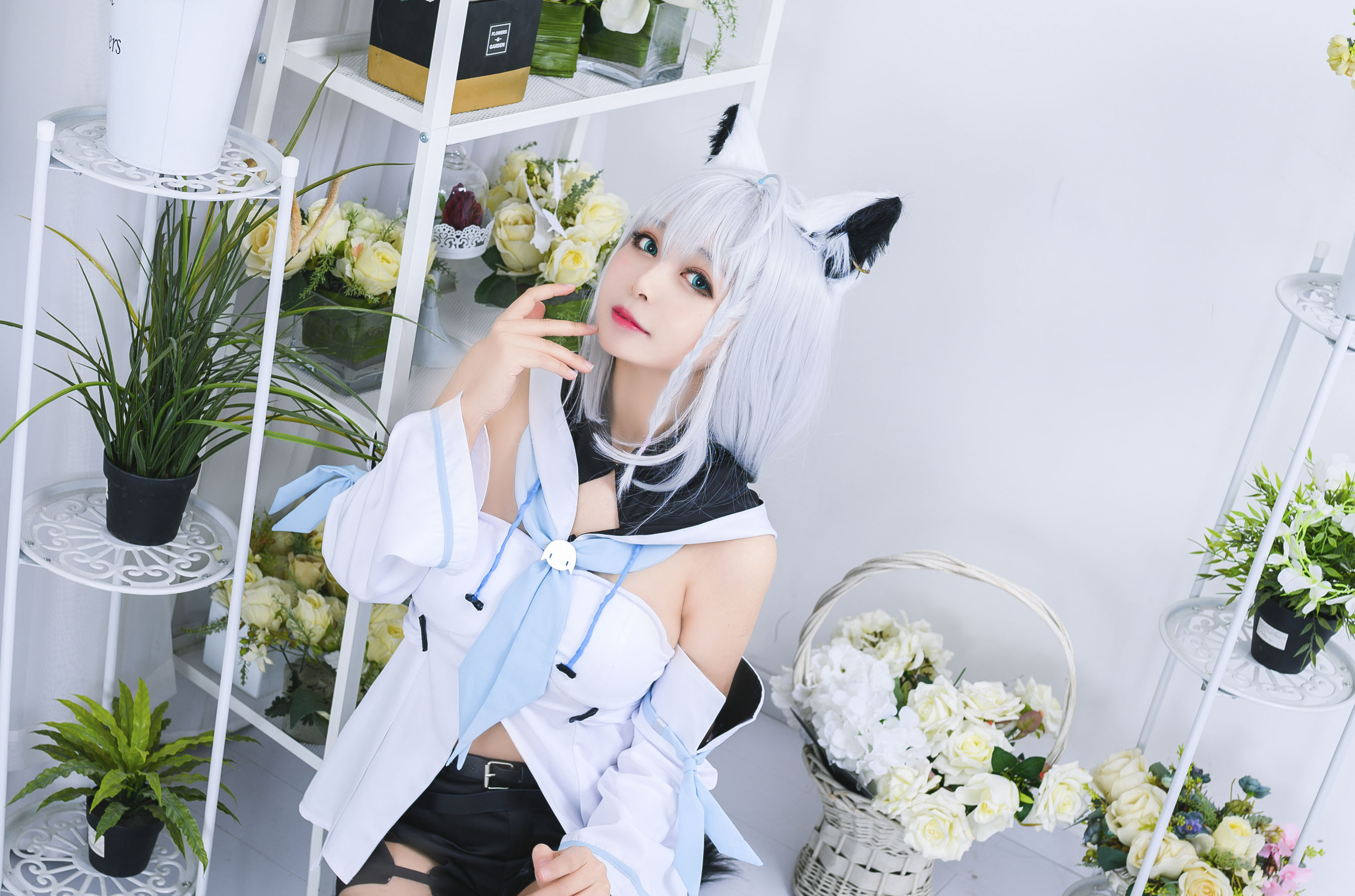 大眼萌妹黑猫猫OvO – 白上吹雪 [12P]