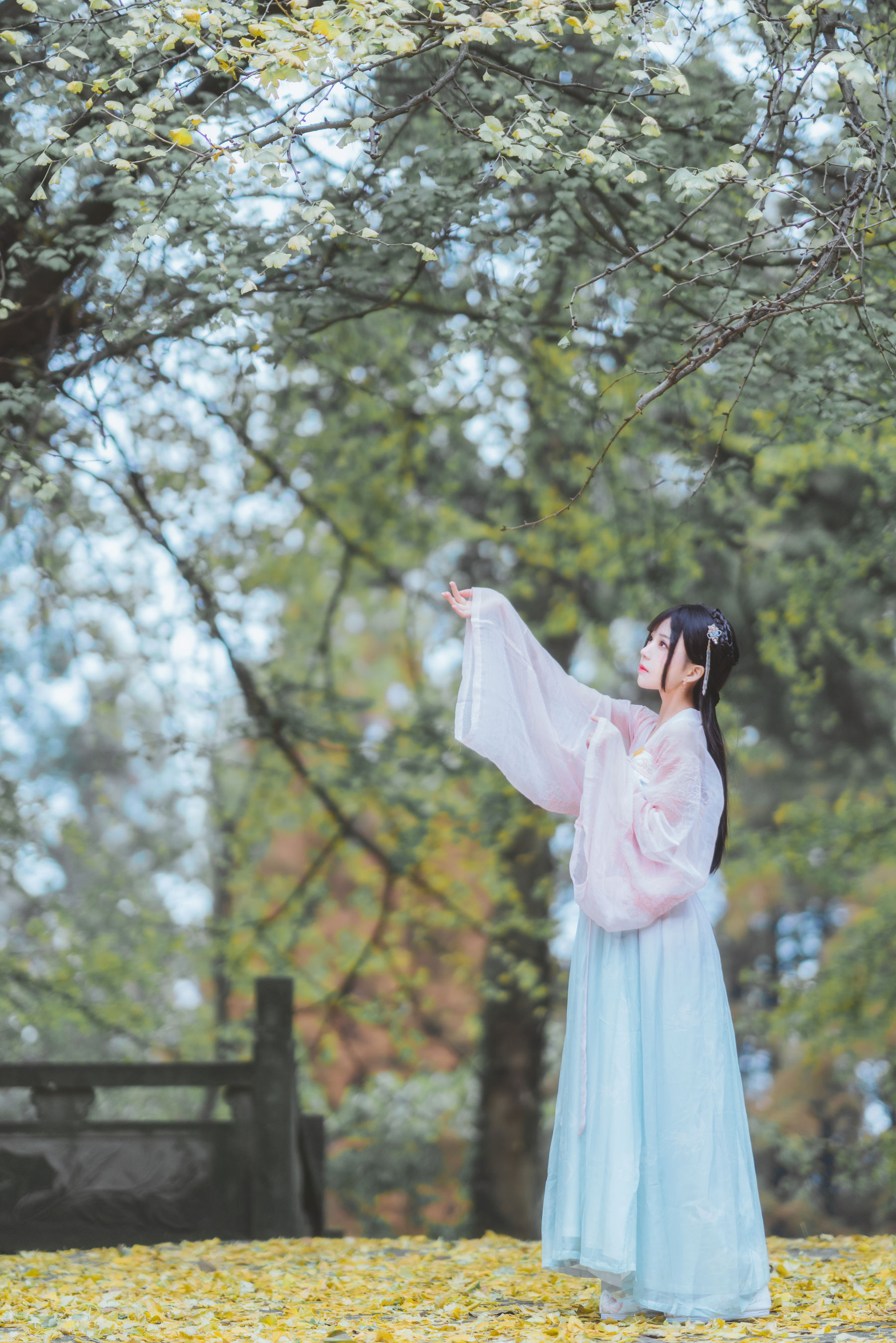 桜桃喵 – 温柔之汉服银杏 [10P]