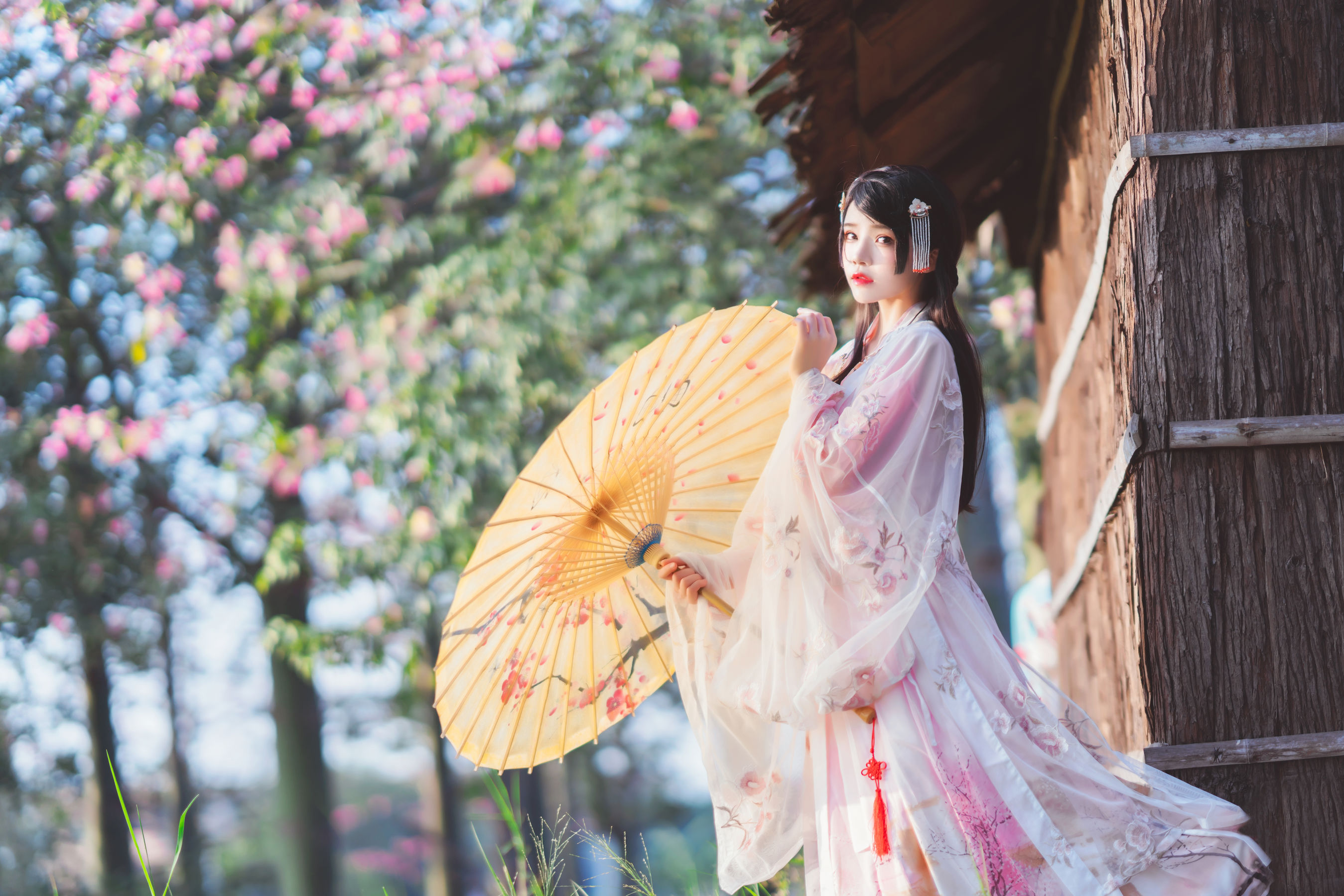 桜桃喵 – 温柔之汉服桃花 [15P]