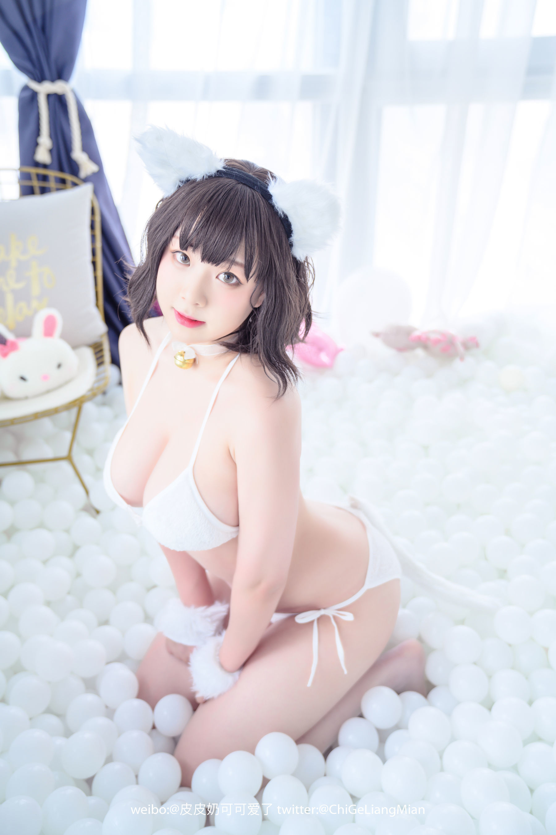 皮皮奶可可爱了啦 白猫 [50P]