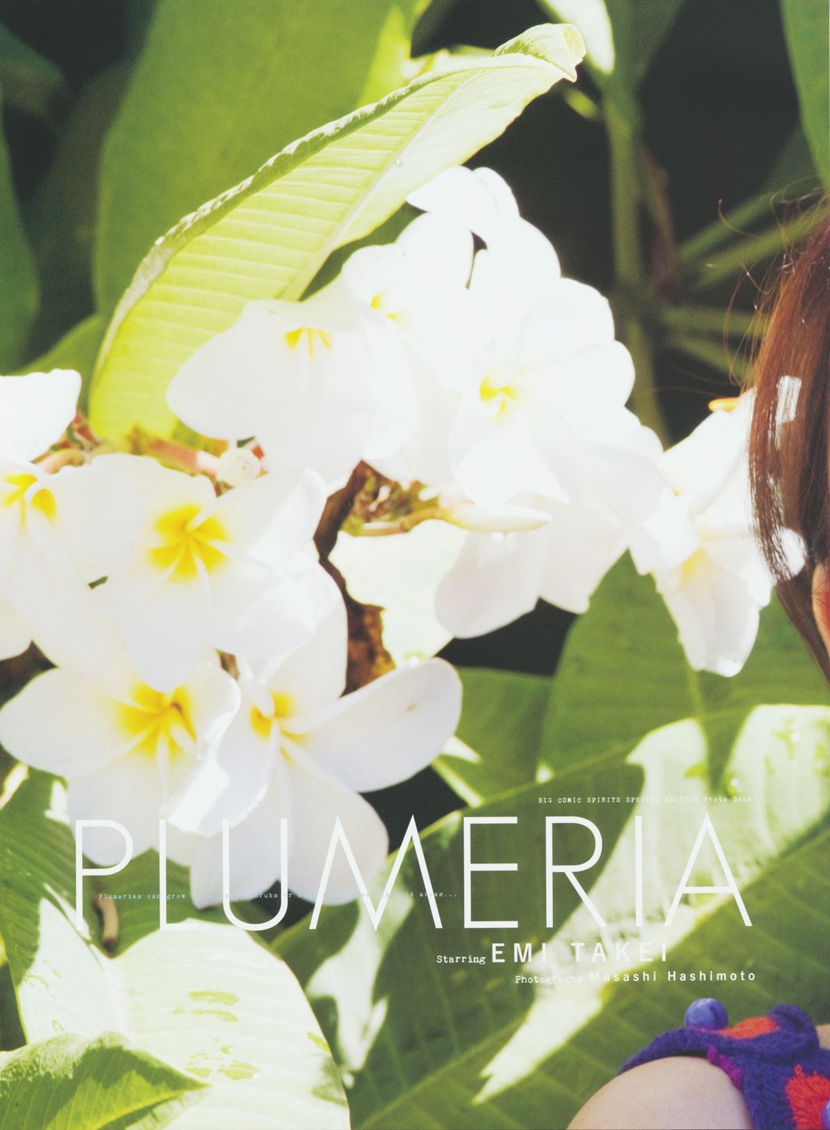 武井咲 《PLUMERIA》 摄影：桥本雅司 [96P]