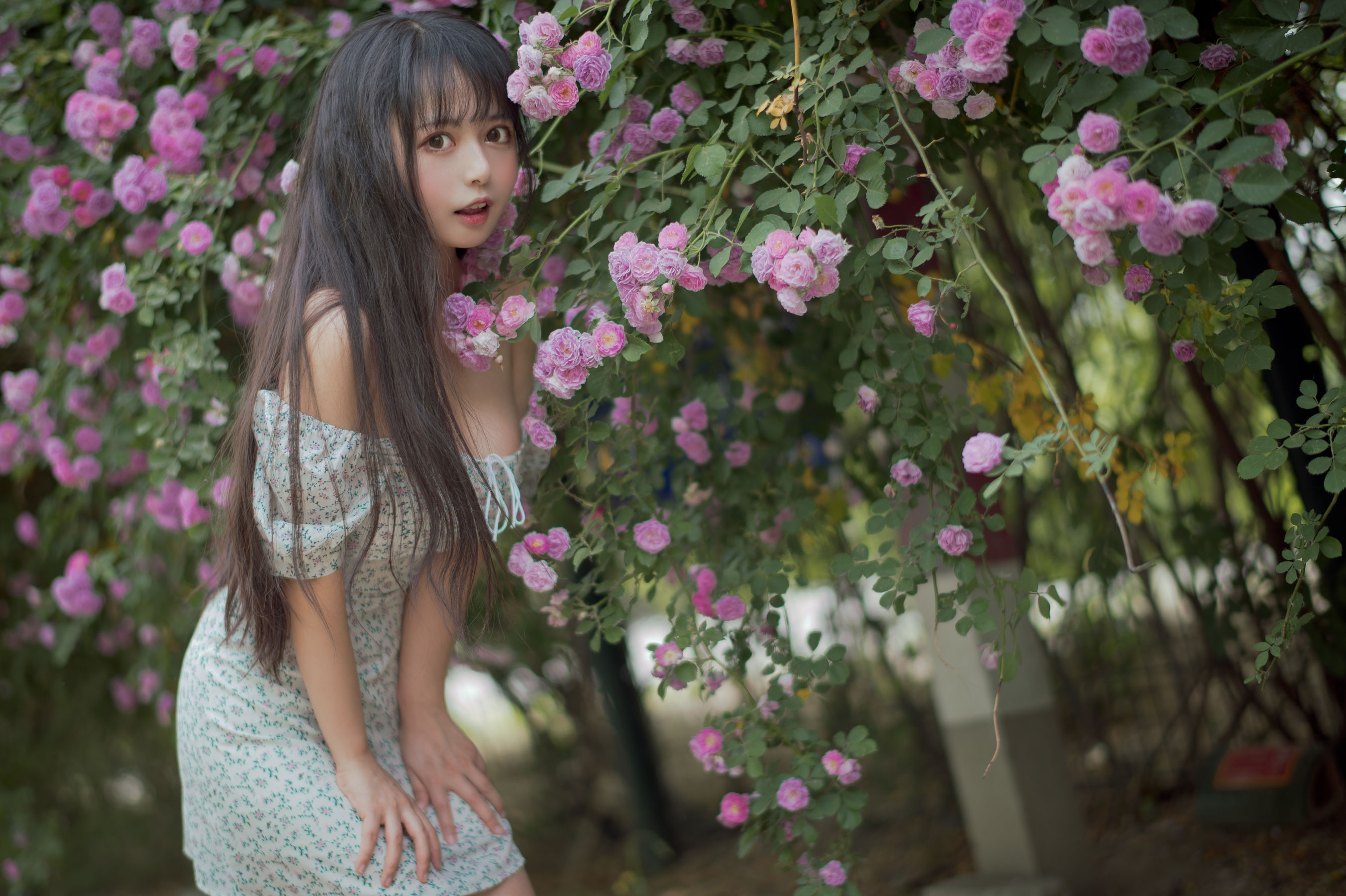 大眼萌妹黑猫猫OvO – 蔷薇2 [27P]