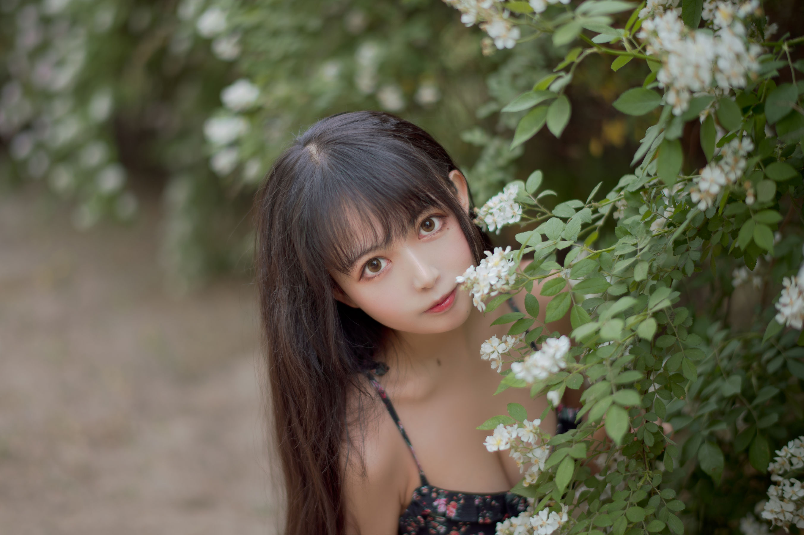 大眼萌妹黑猫猫OvO – 蔷薇1 [22P]