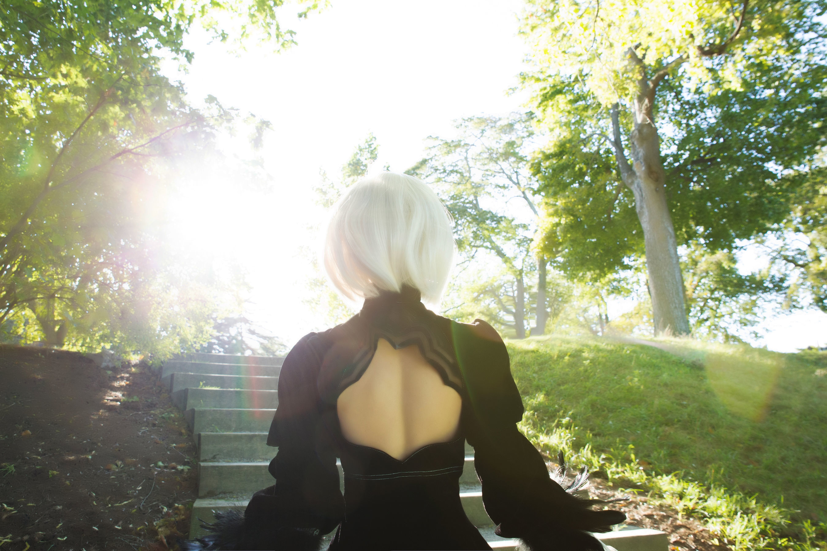 MisswarmJ – Bonus 2B [30P]