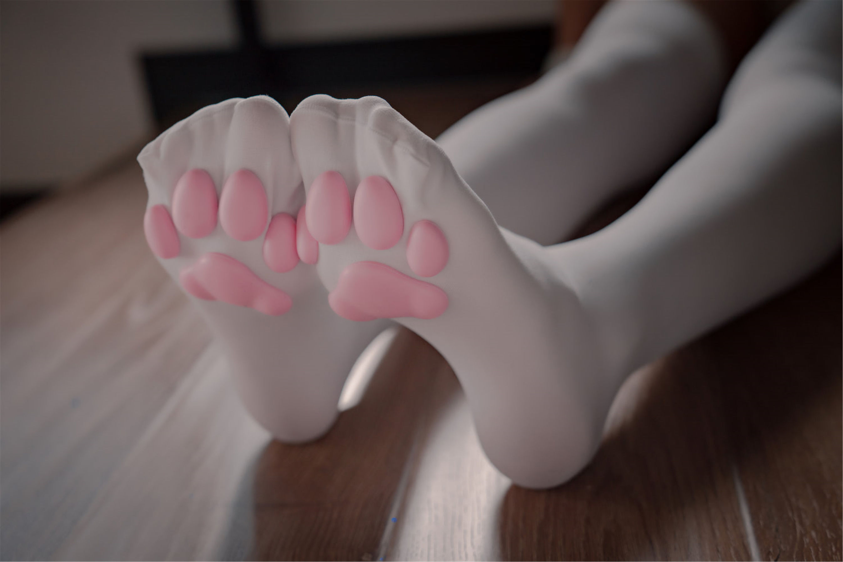 轩萧学姐 – 猫爪袜 [40P]