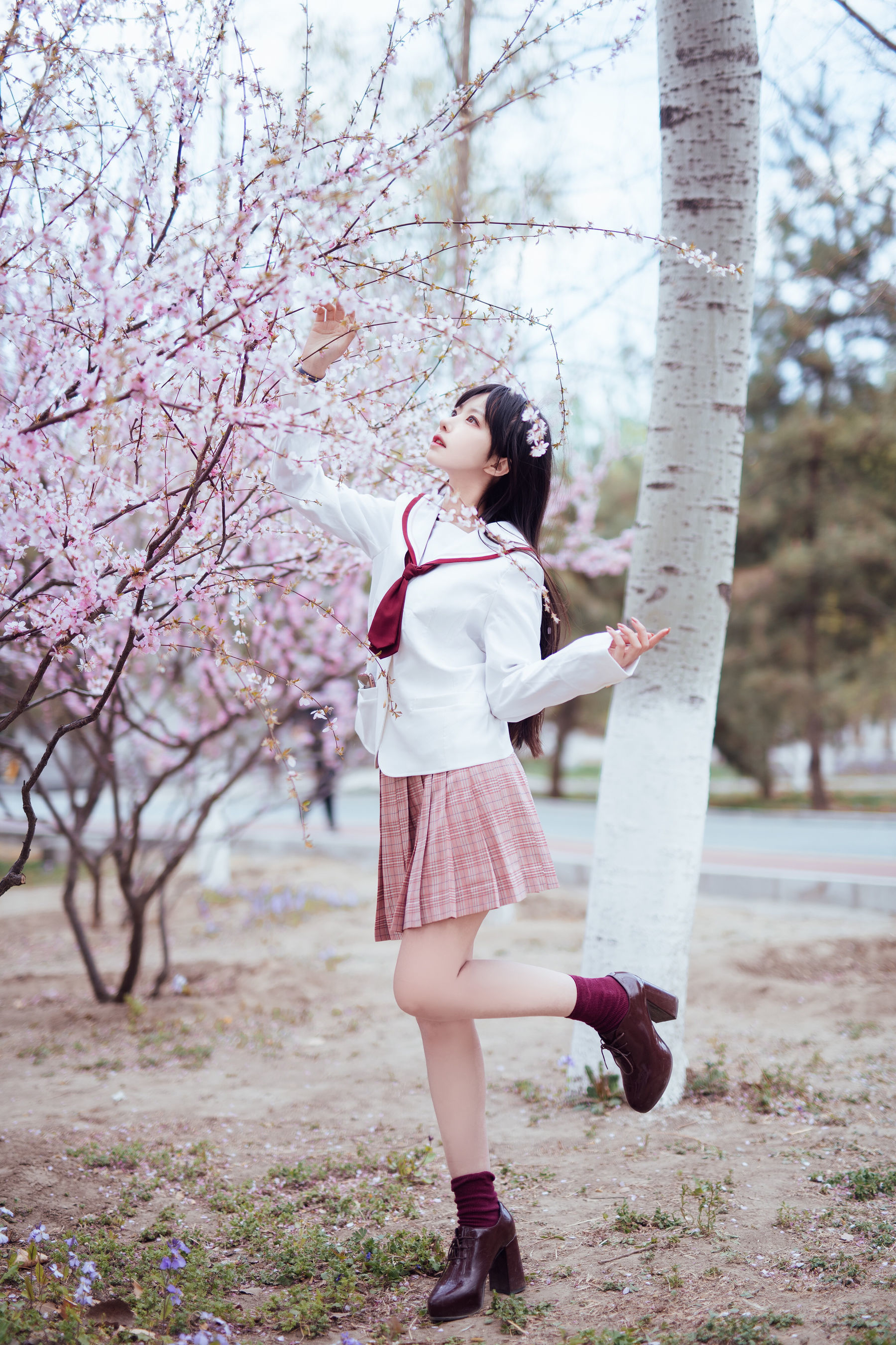 Shika小鹿鹿 – 樱花 [13P]