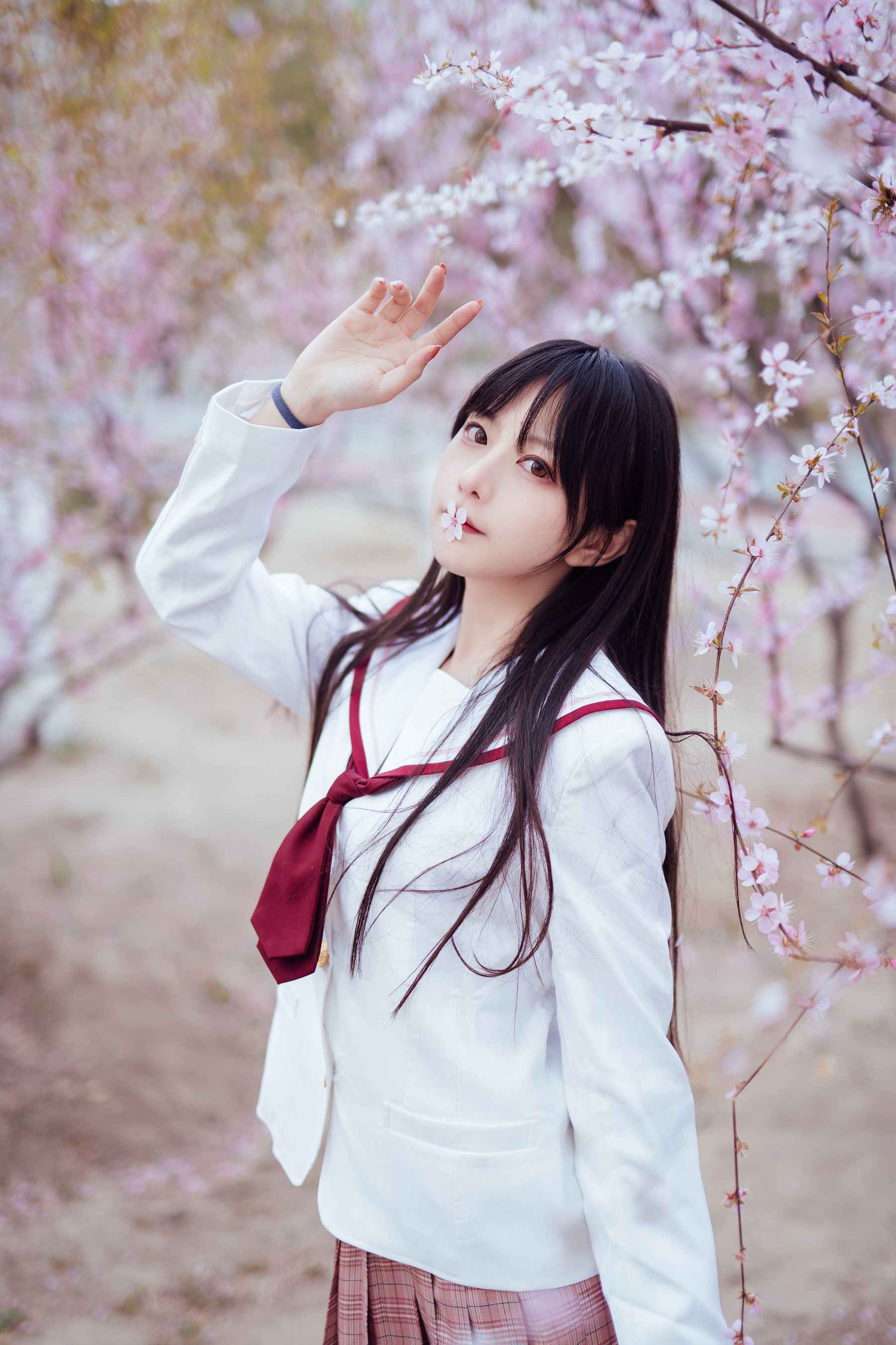 Shika小鹿鹿 – 樱花 [13P]