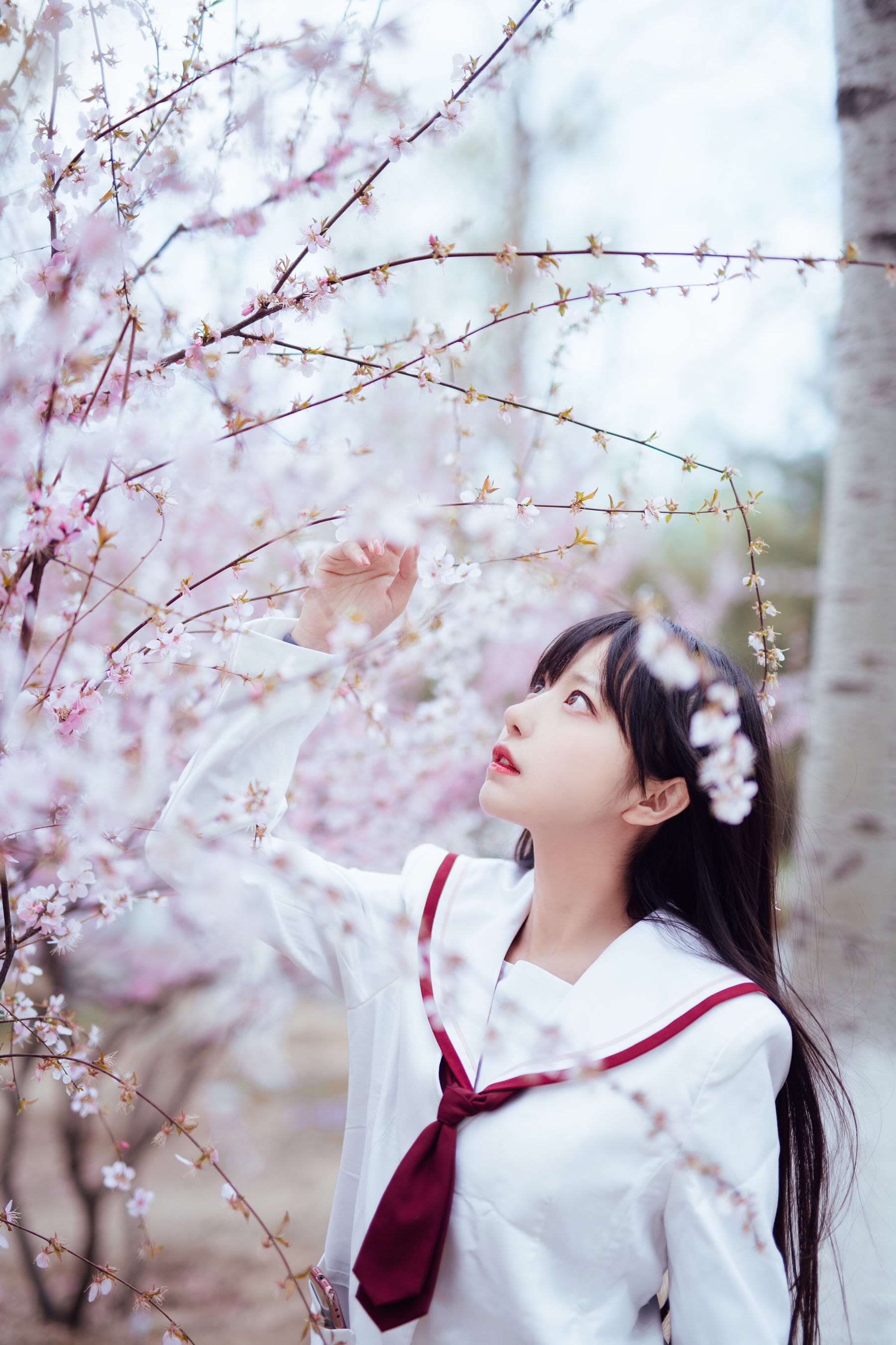 Shika小鹿鹿 – 樱花 [13P]