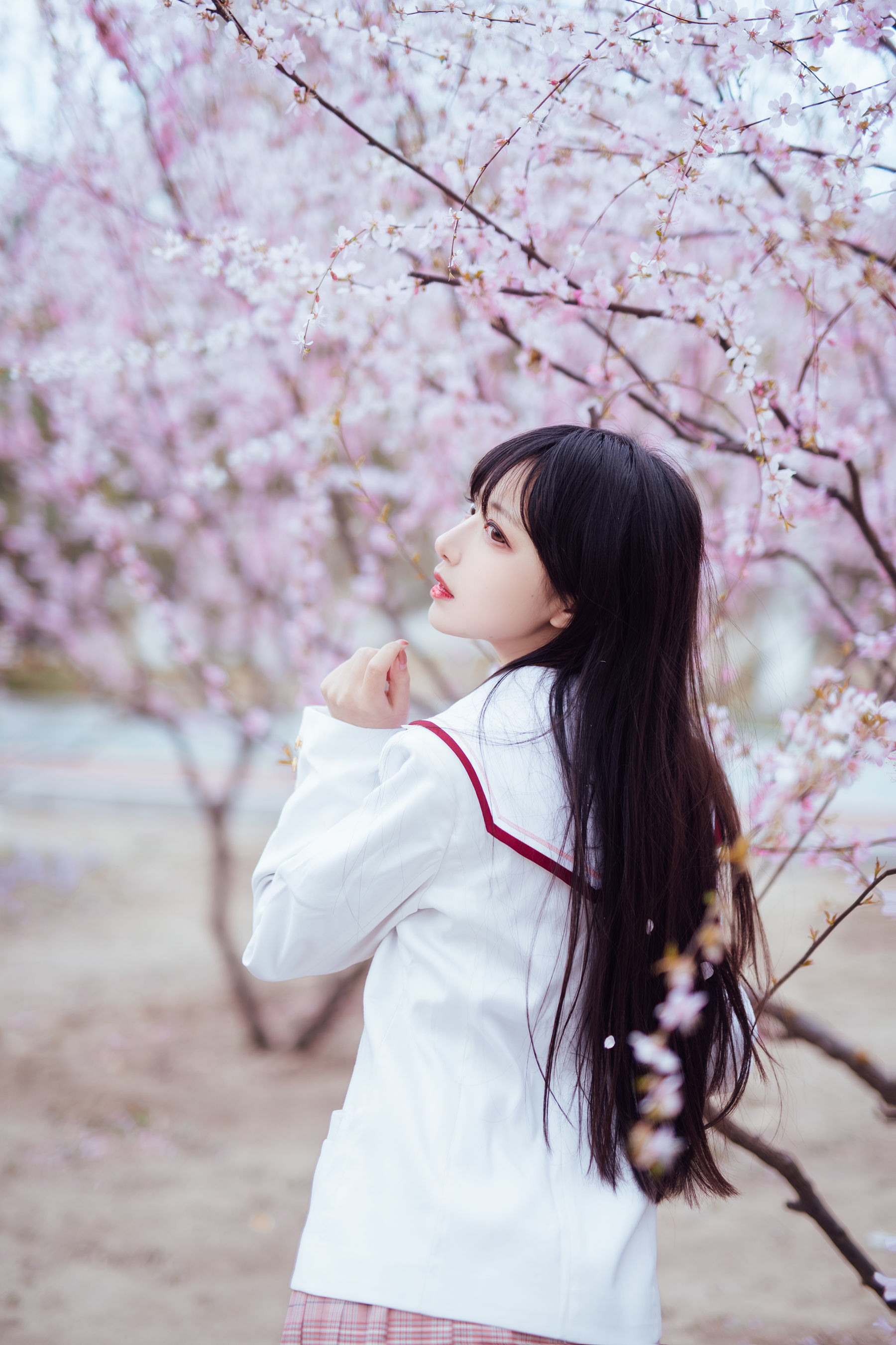 Shika小鹿鹿 – 樱花 [13P]