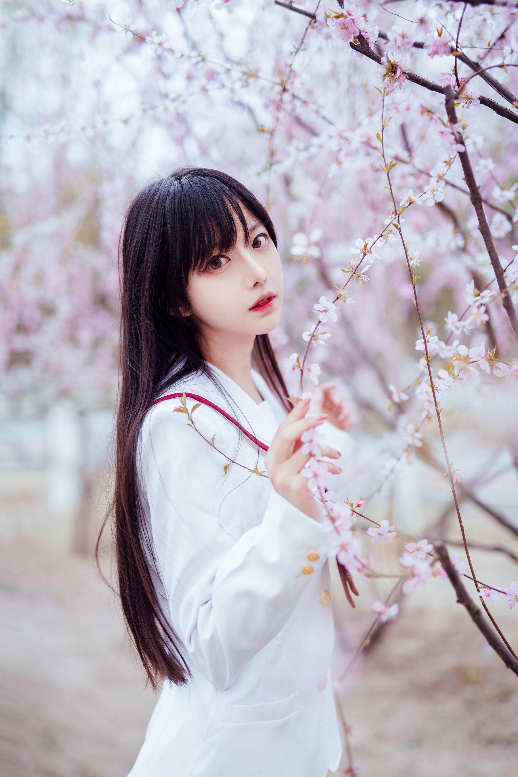 Shika小鹿鹿 – 樱花 [13P]