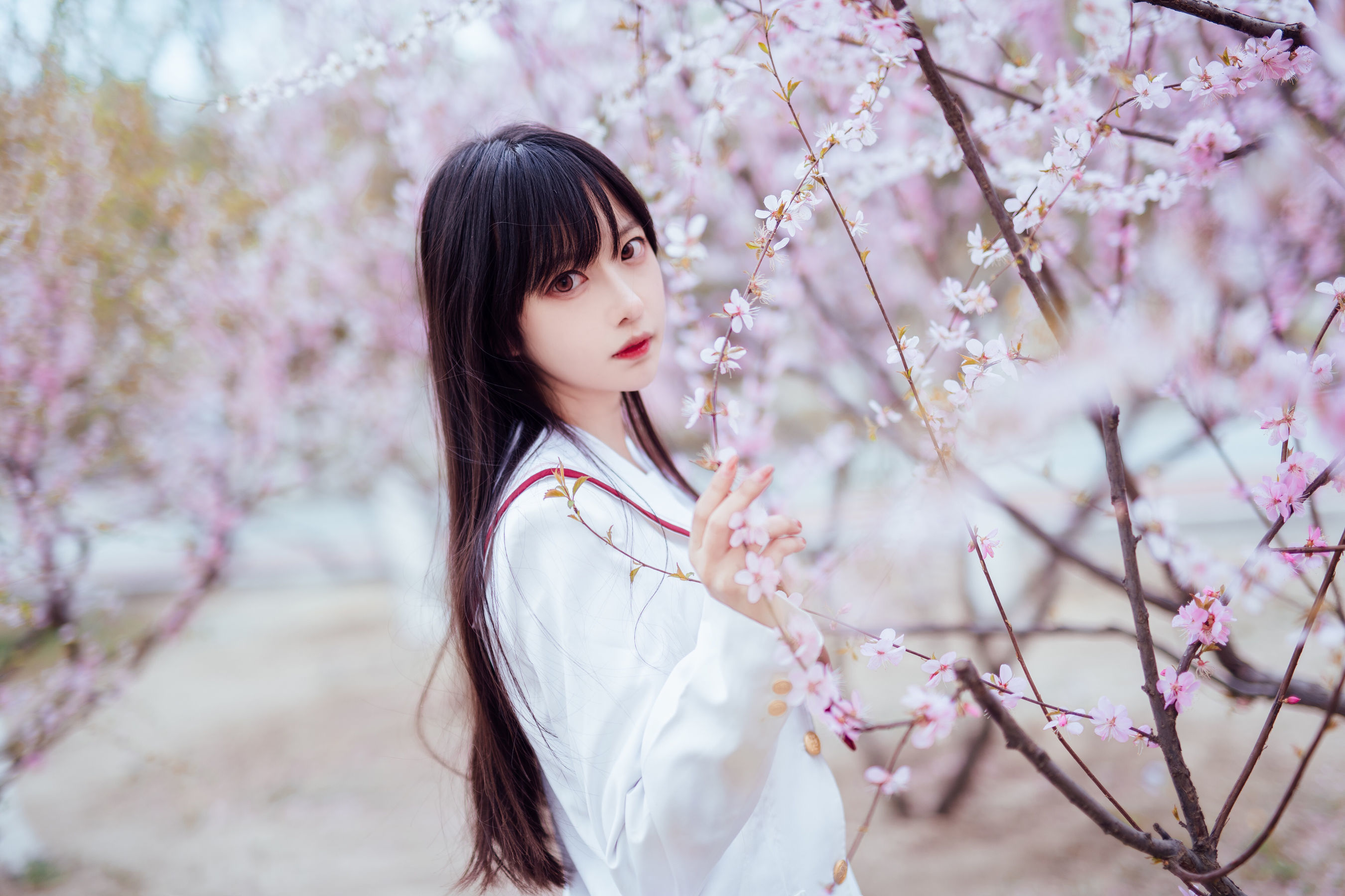 Shika小鹿鹿 – 樱花 [13P]