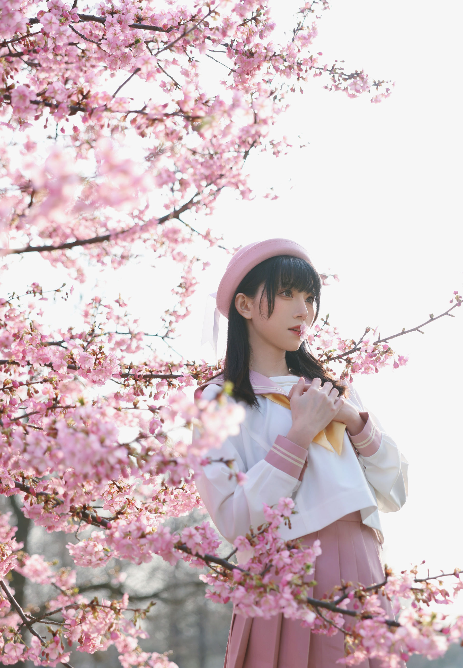 动漫博主Kitaro_绮太郎 – 樱花 [18P]