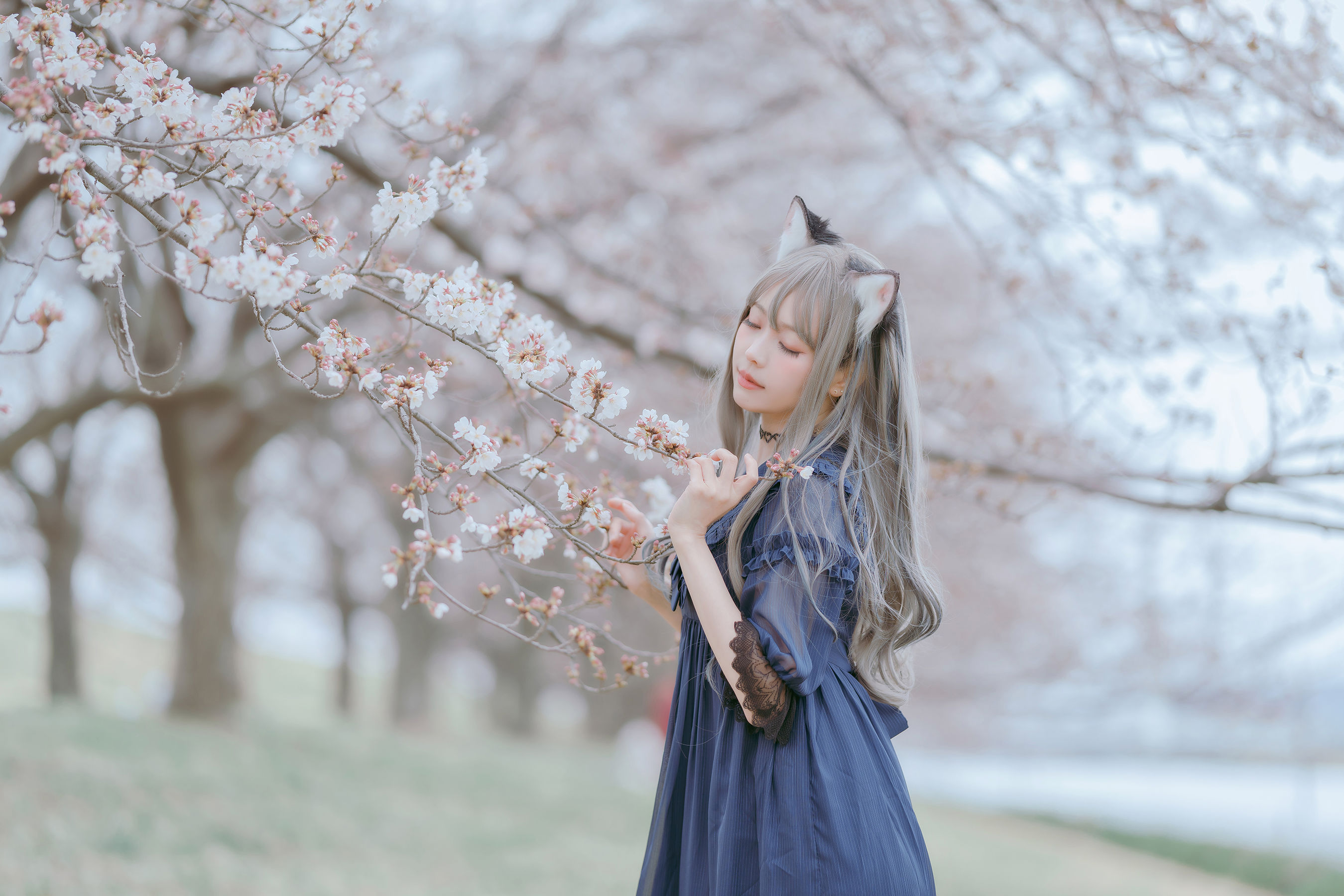 Ely_eee(ElyEE子) – Sakura [64P]