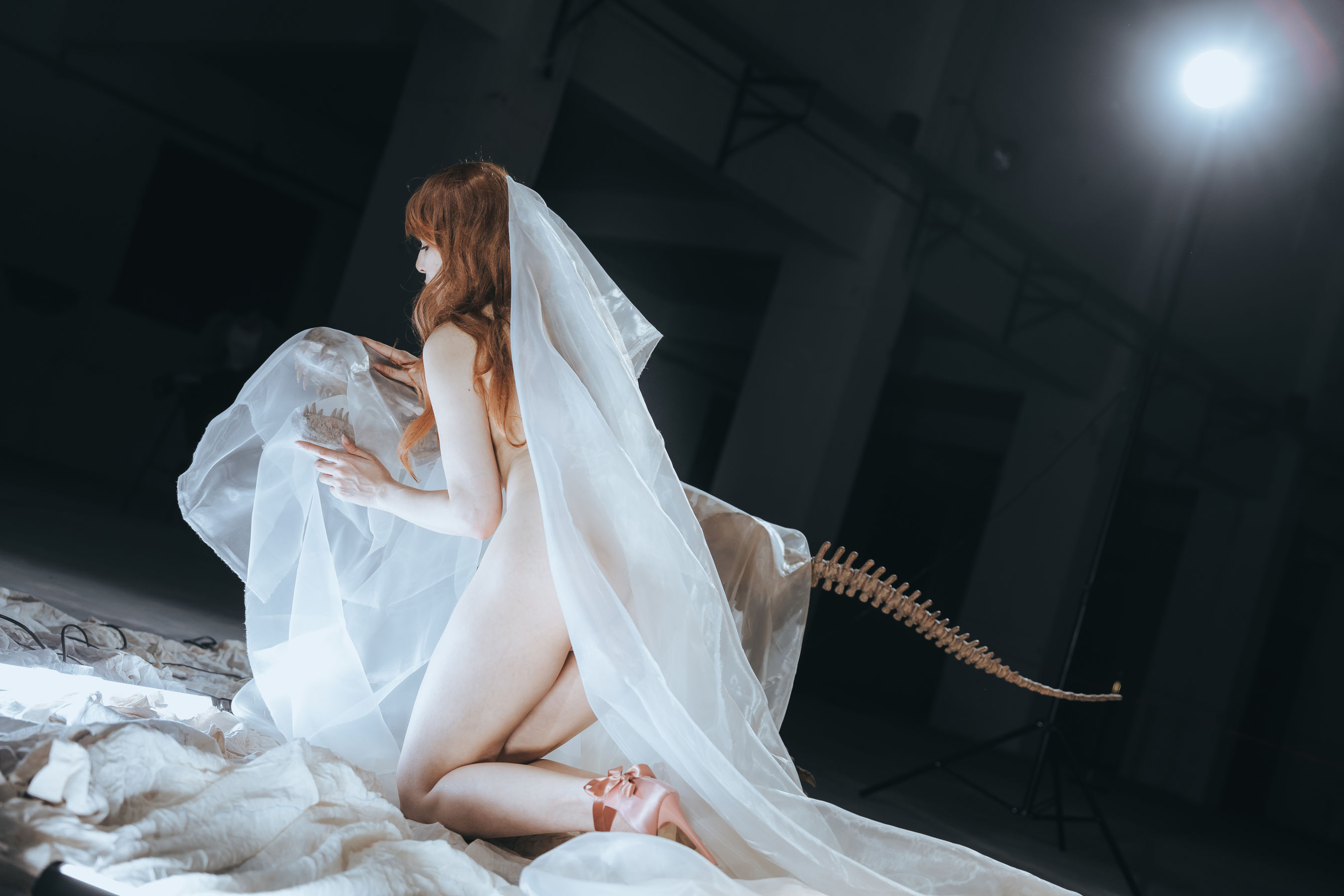 秋和柯基(夏小秋秋秋) – 纱 [66P]