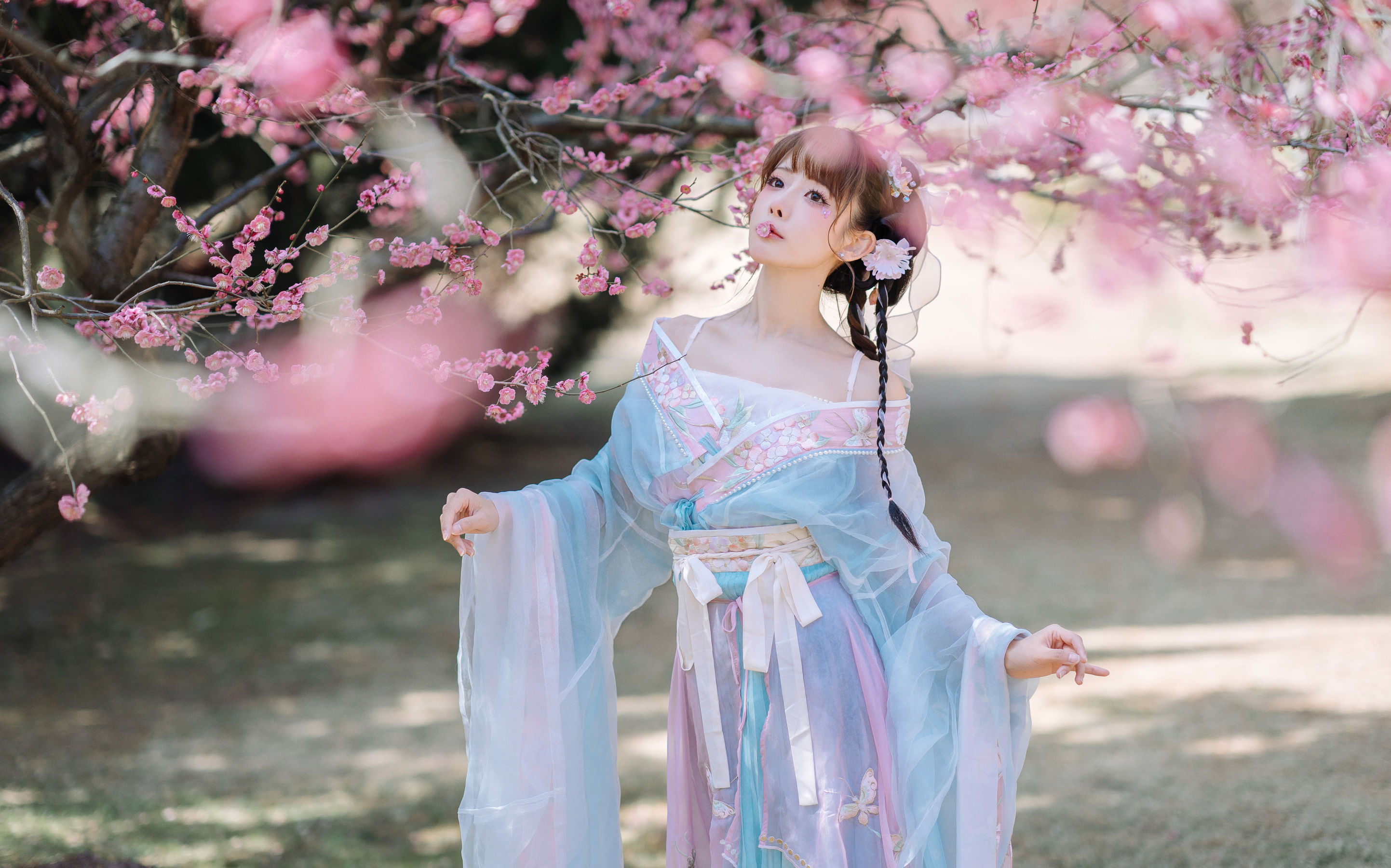 紫氯氯 – 二月梅花 [17P]