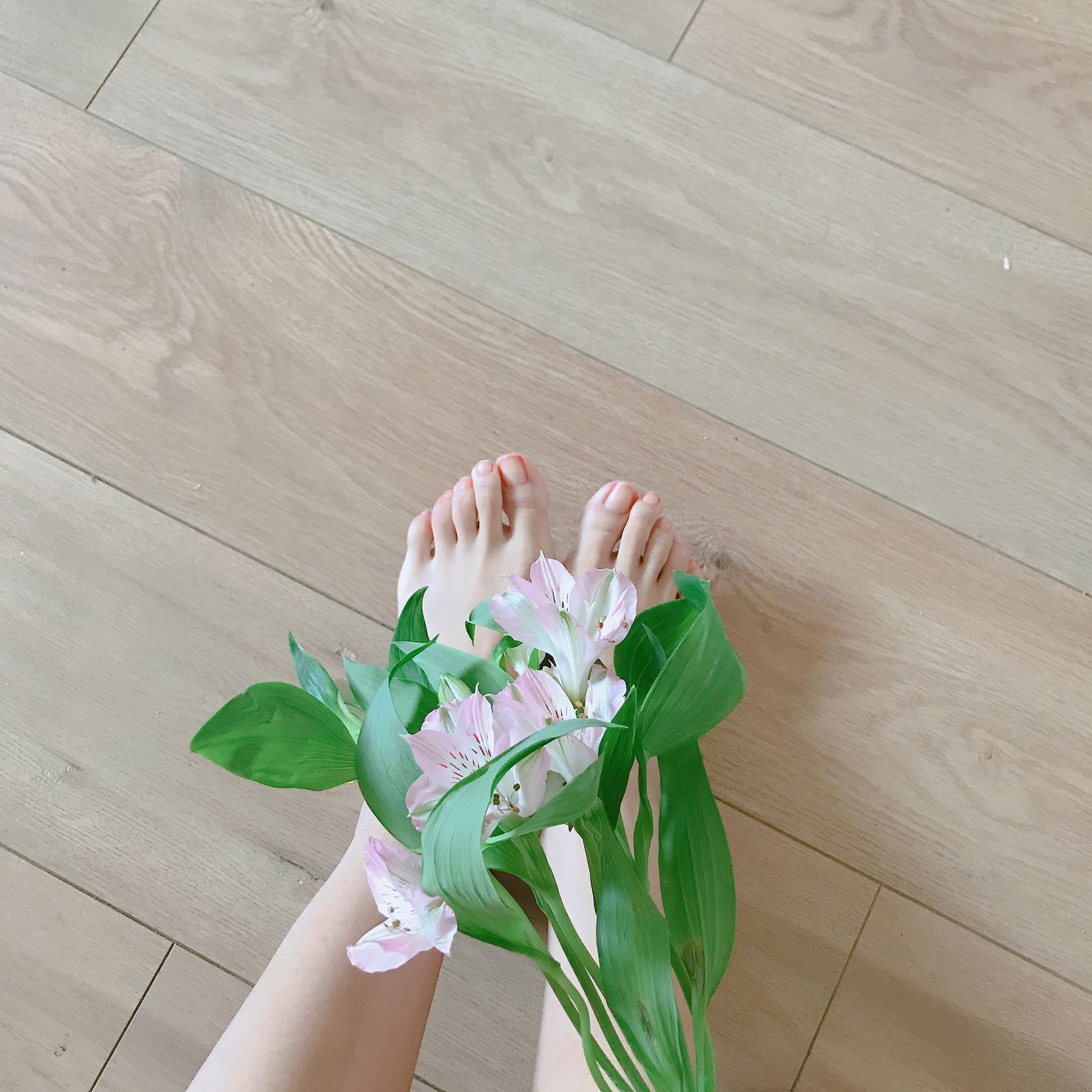 安乔乔儿(Nia乔乔) No.006 学姐来了 [124P]