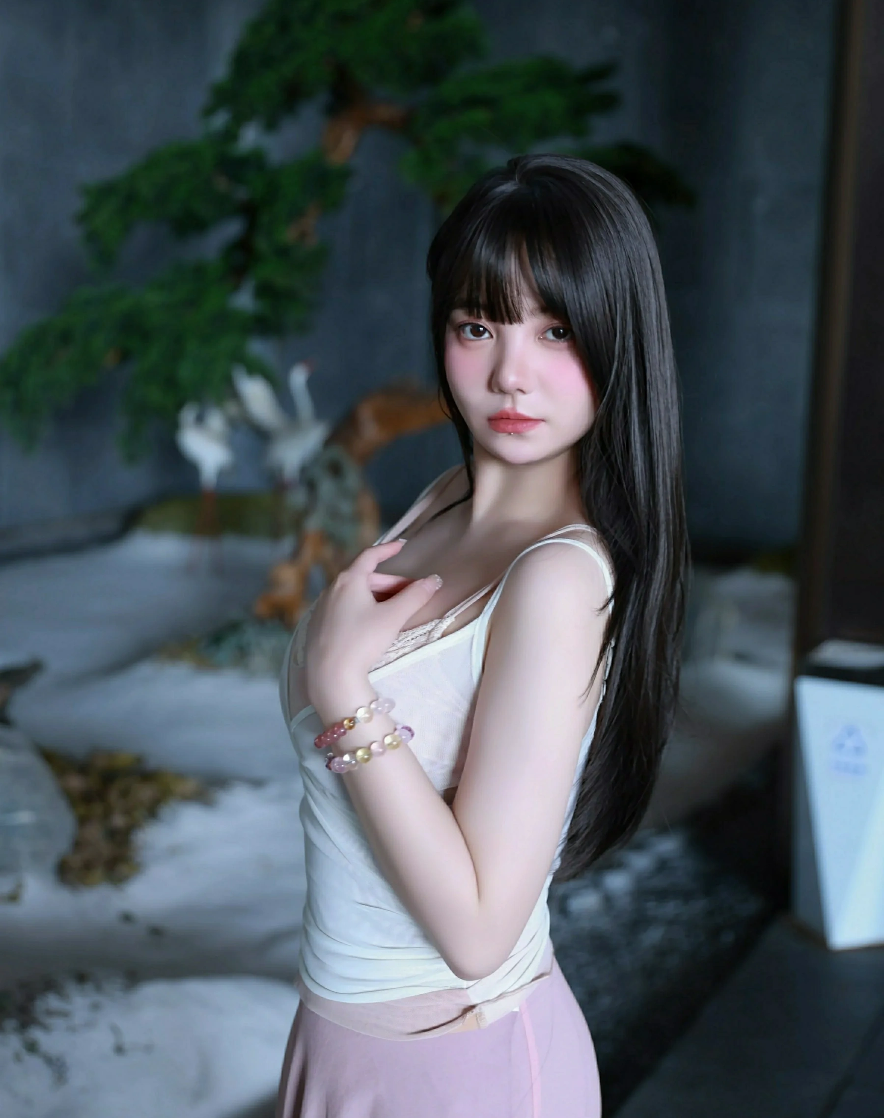 秀人网 No.10746 软情 [86P]