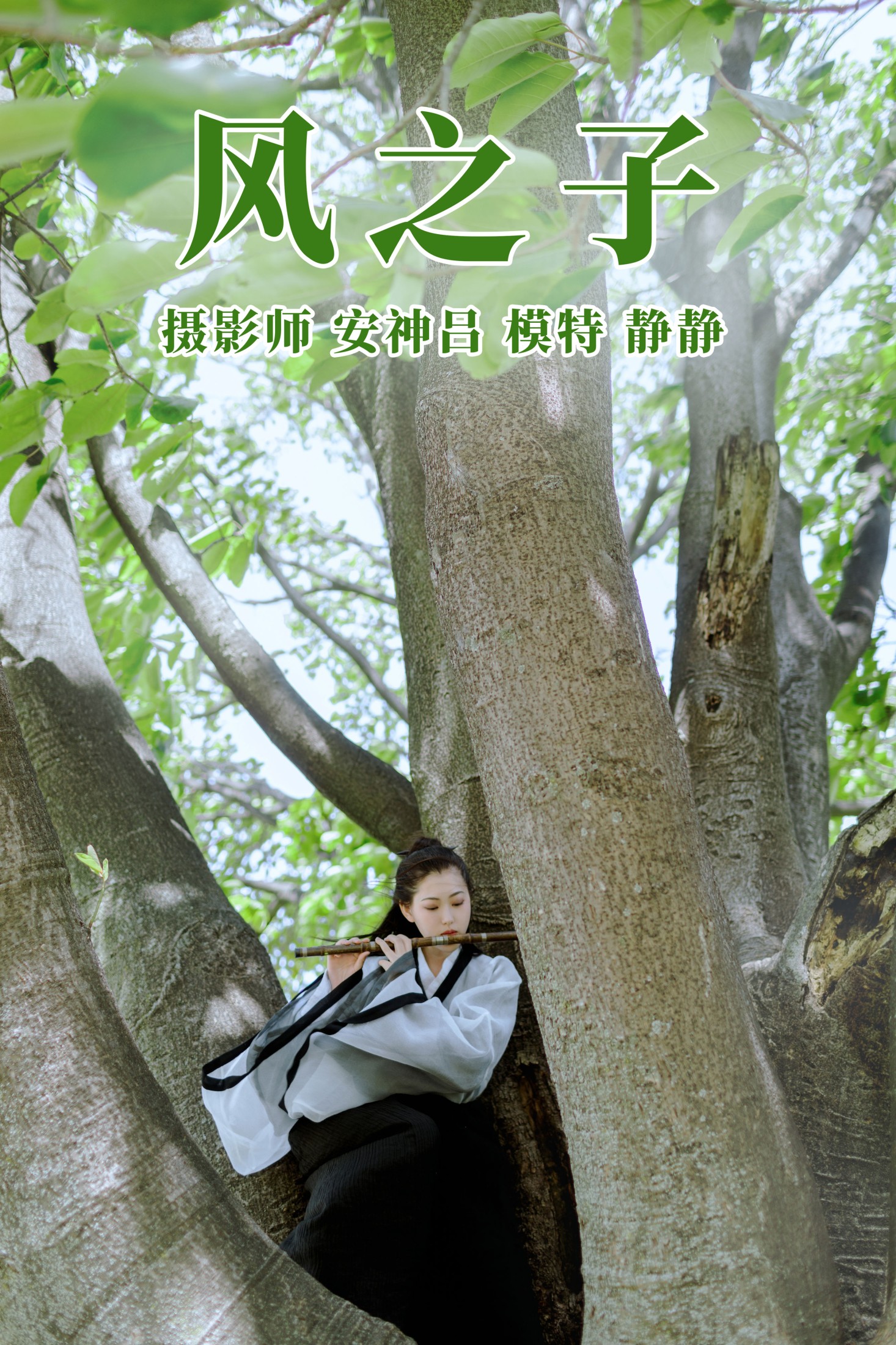 风之子