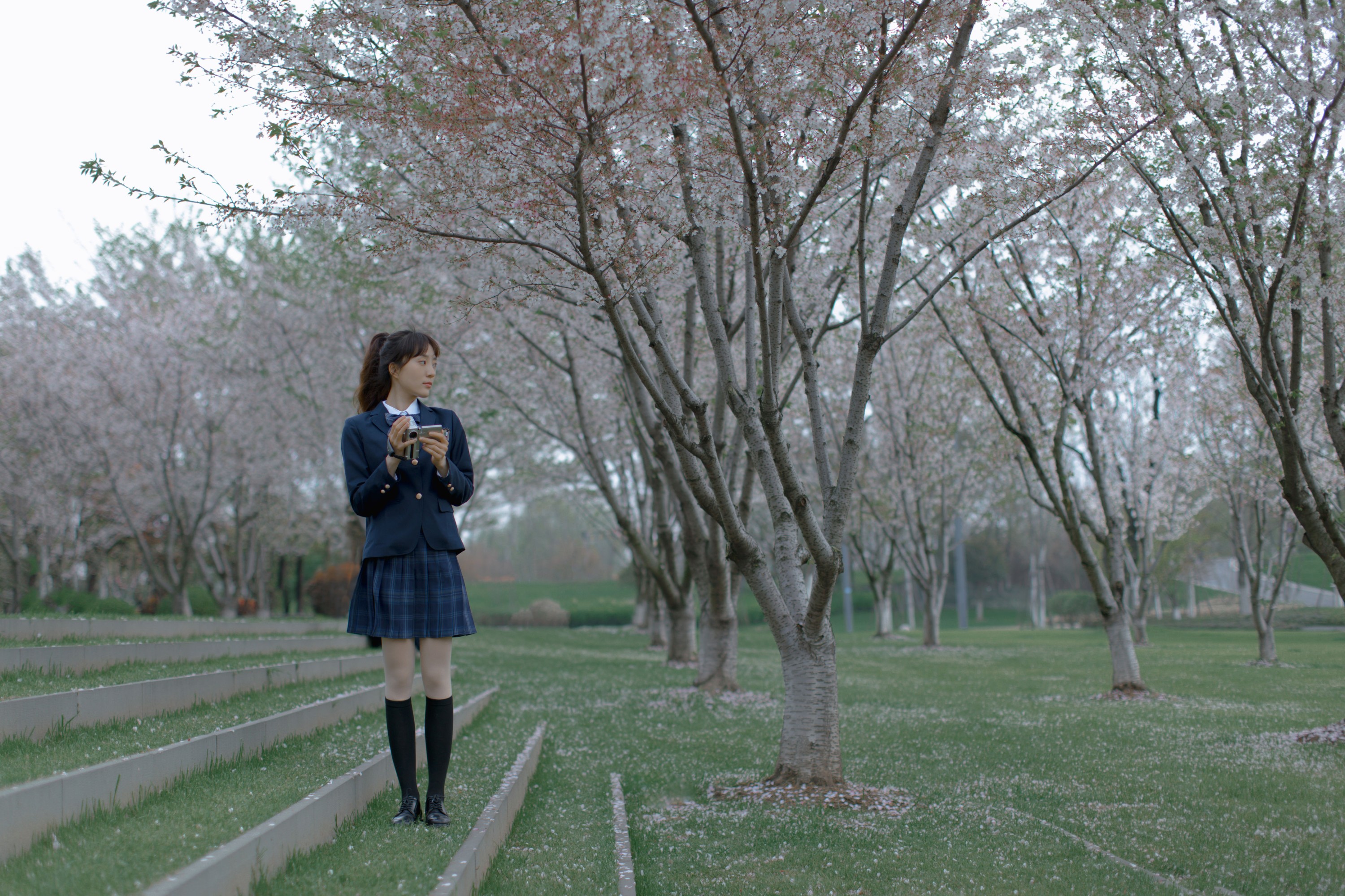 汤兮兮 – 《樱花渐落》[41P]