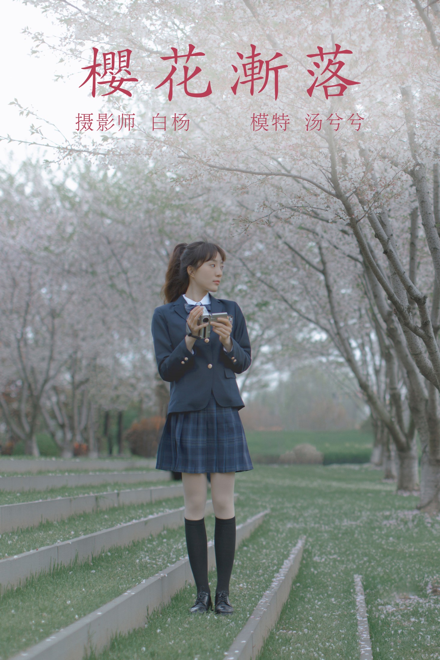 樱花渐落