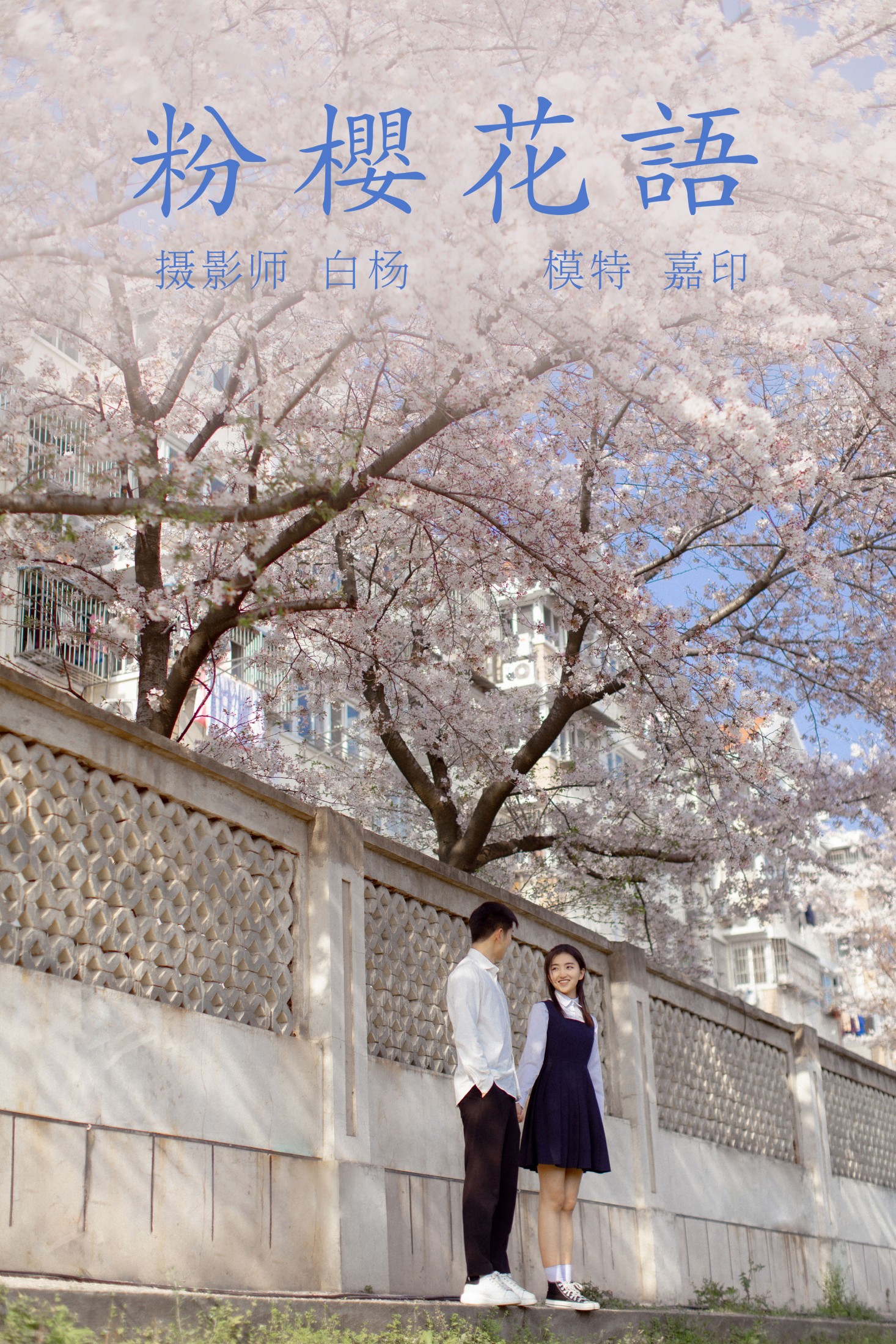 粉樱花语