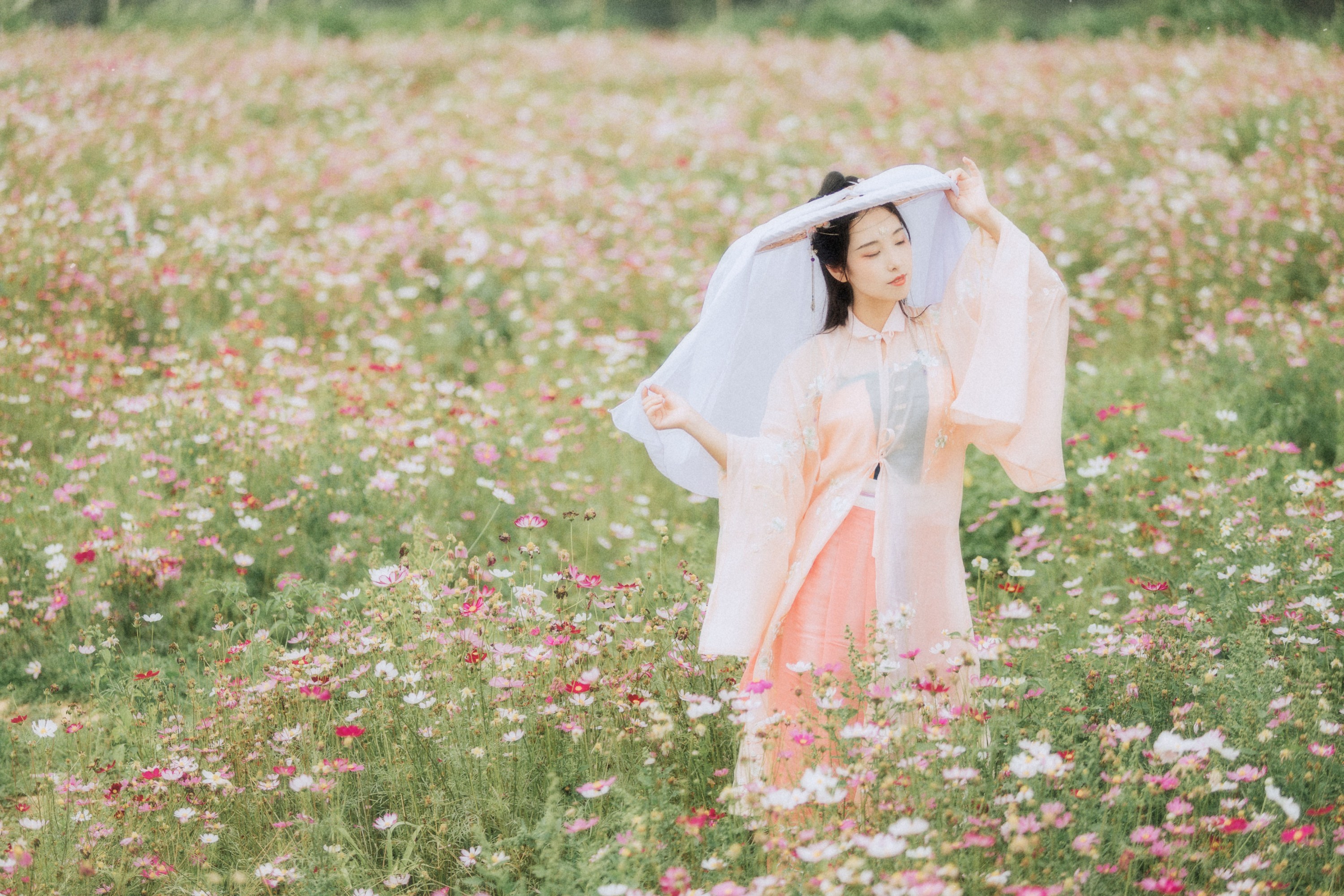 茶茶 – 《繁花孤影》[24P]