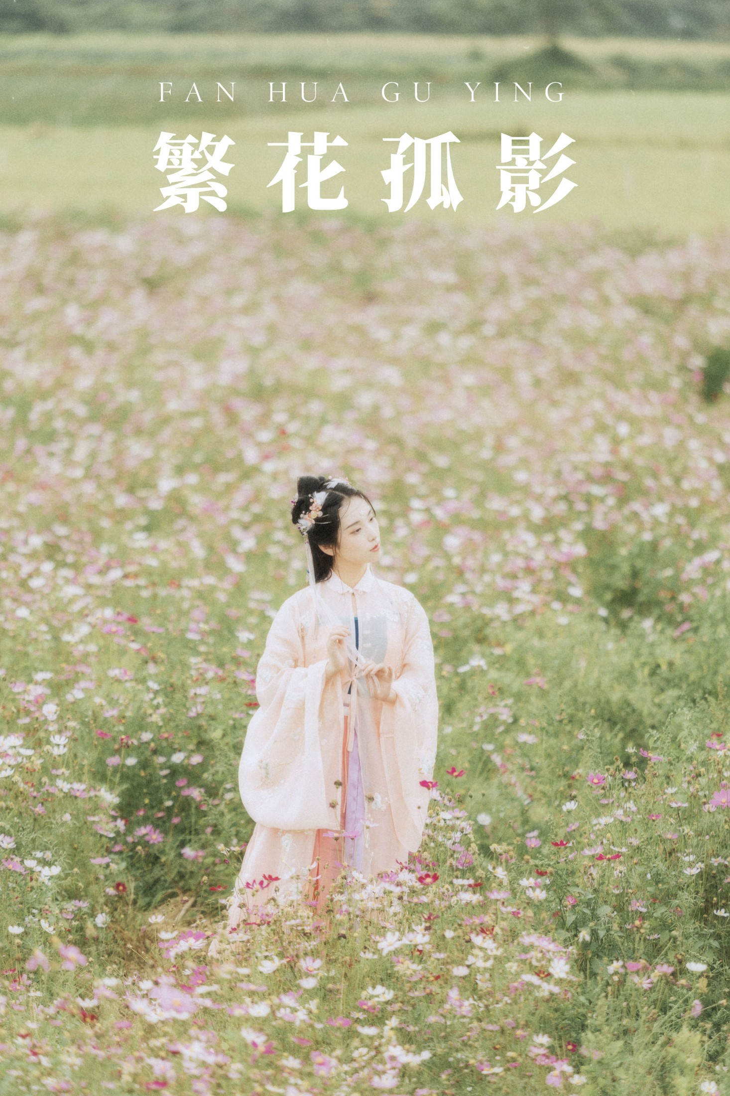 繁花孤影