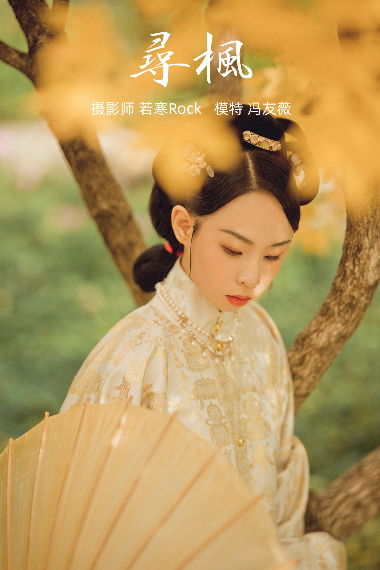 寻枫