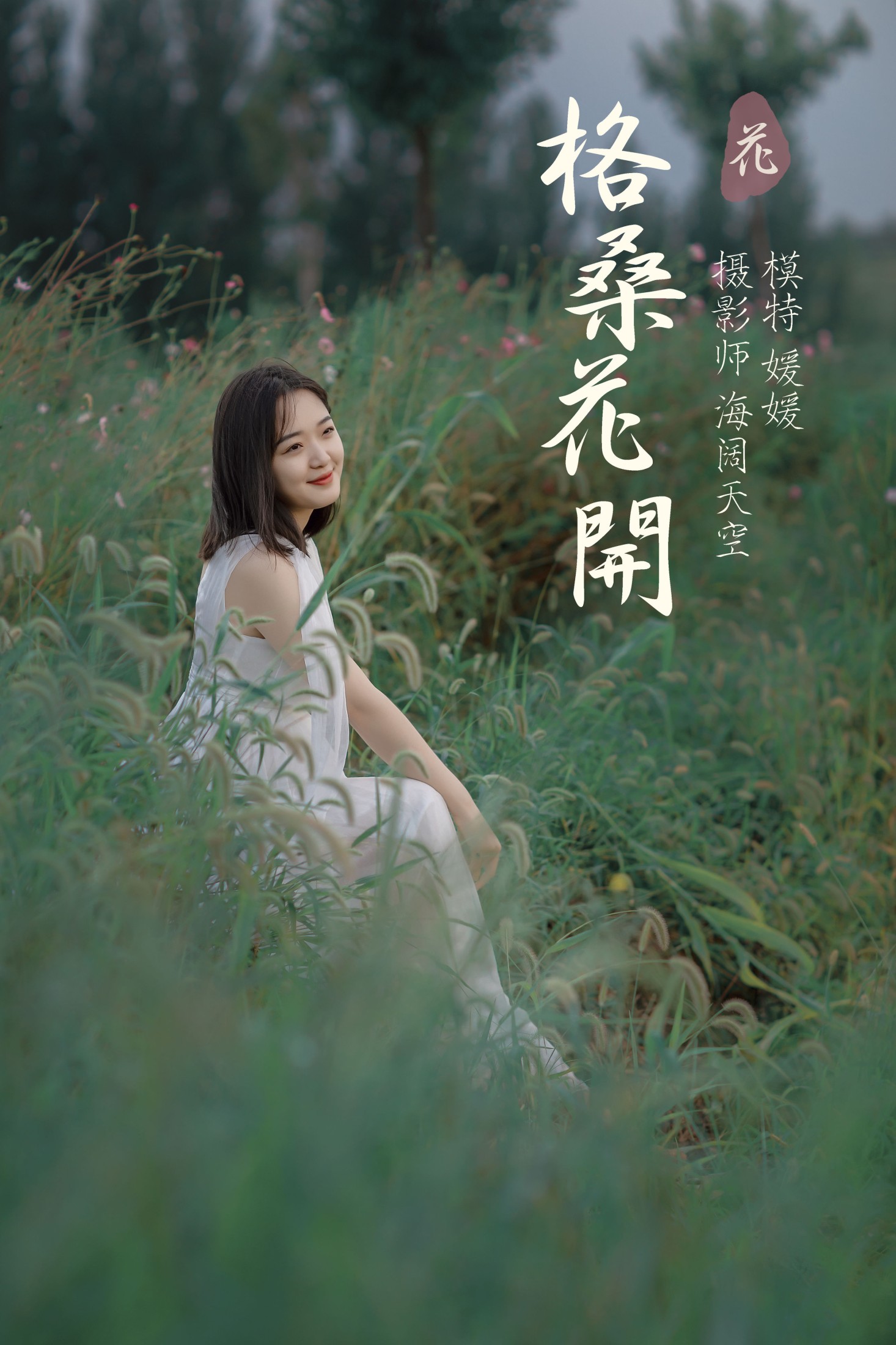 格桑花开
