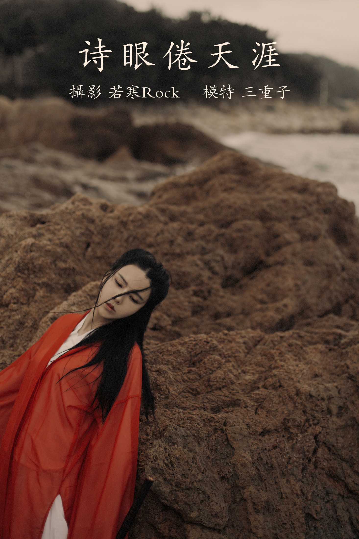 诗眼倦天涯