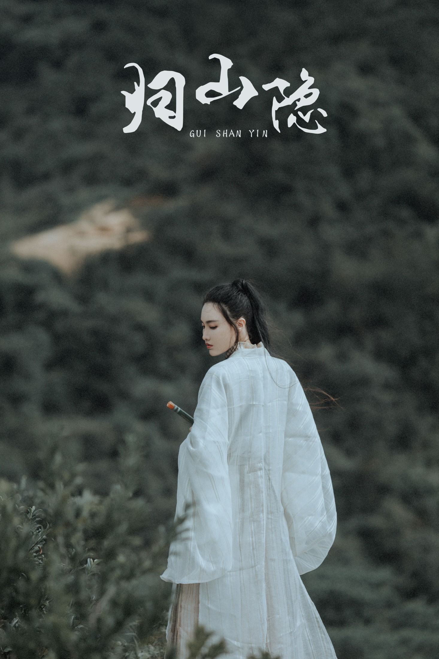 归山隐