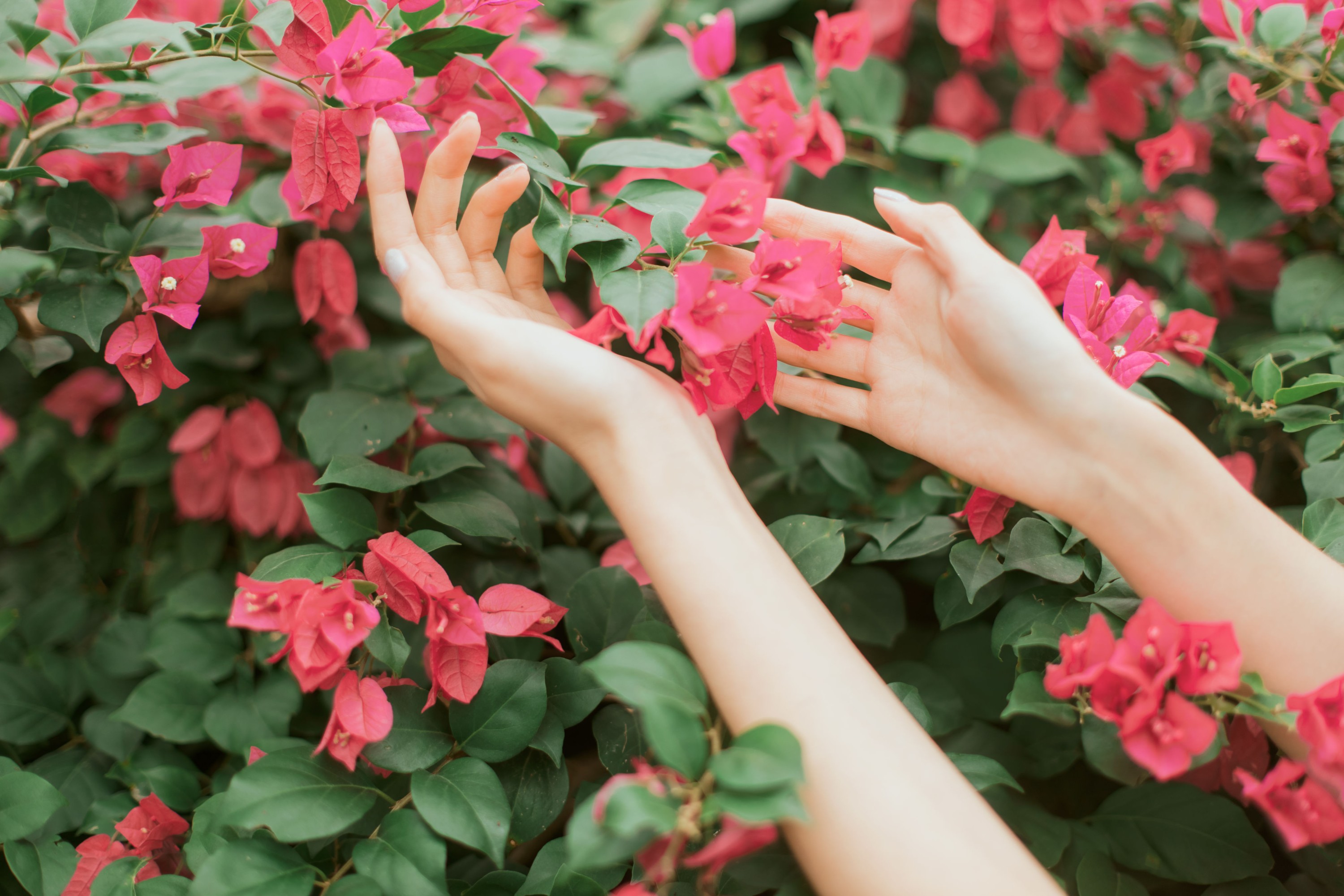 航子就是航子呀 – 《花开的季节》[40P]