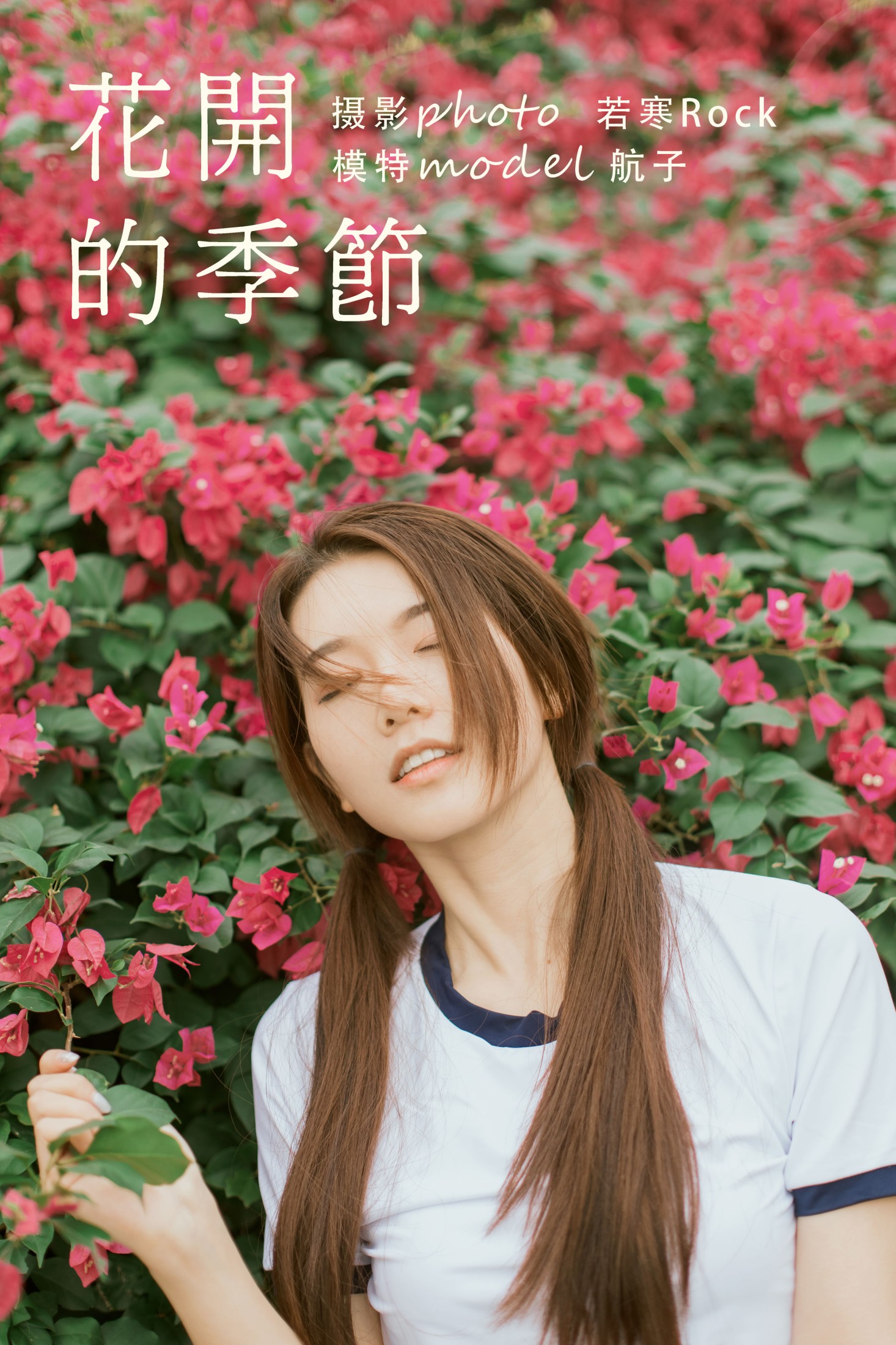 花开的季节
