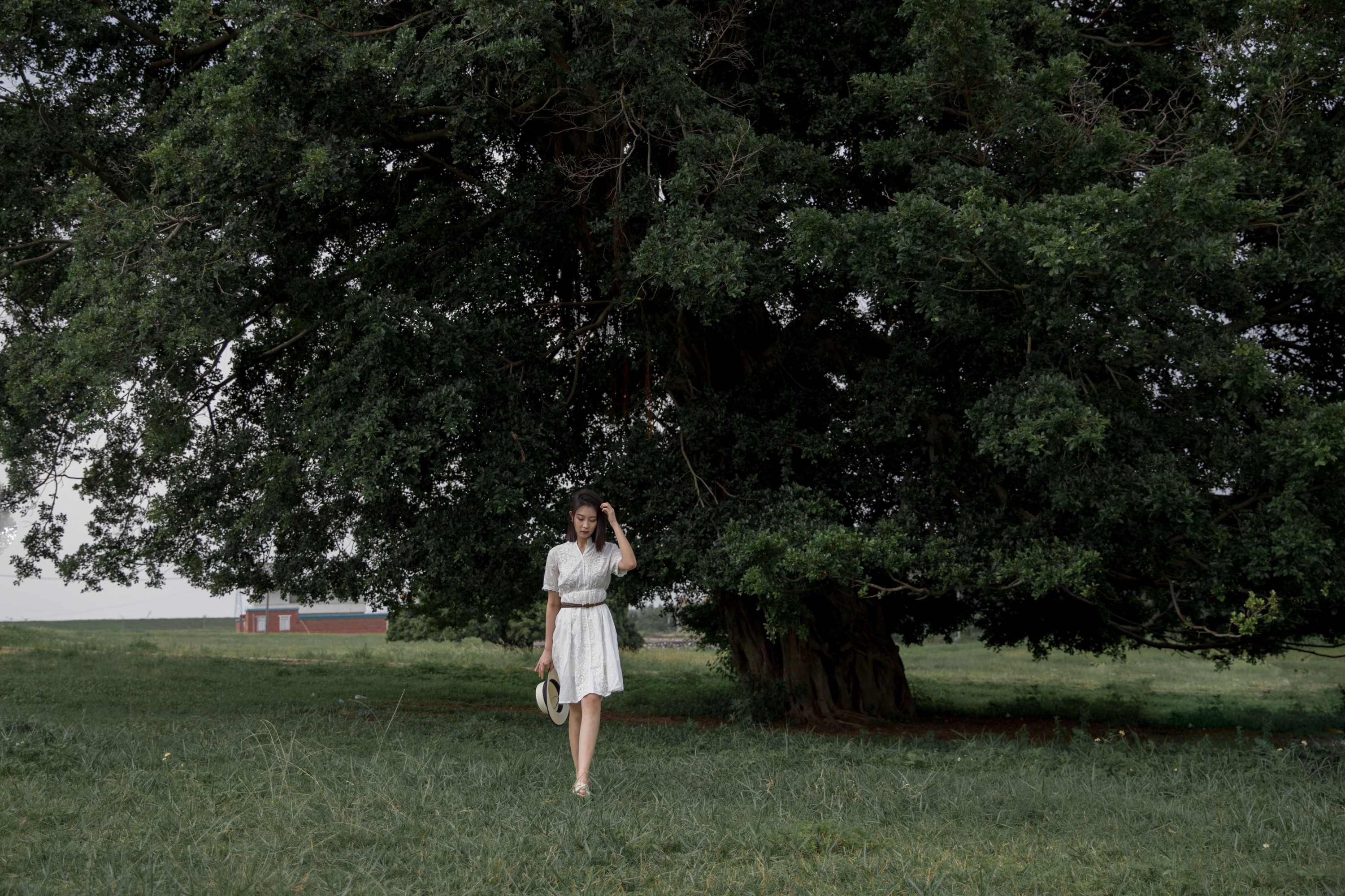 Neida – 《流浪》[22P]