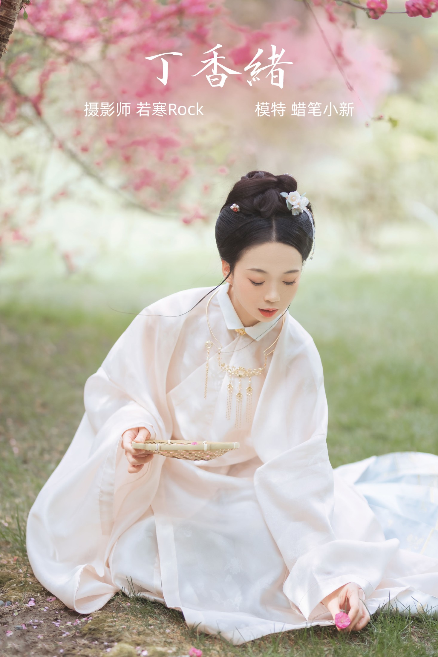 丁香绪
