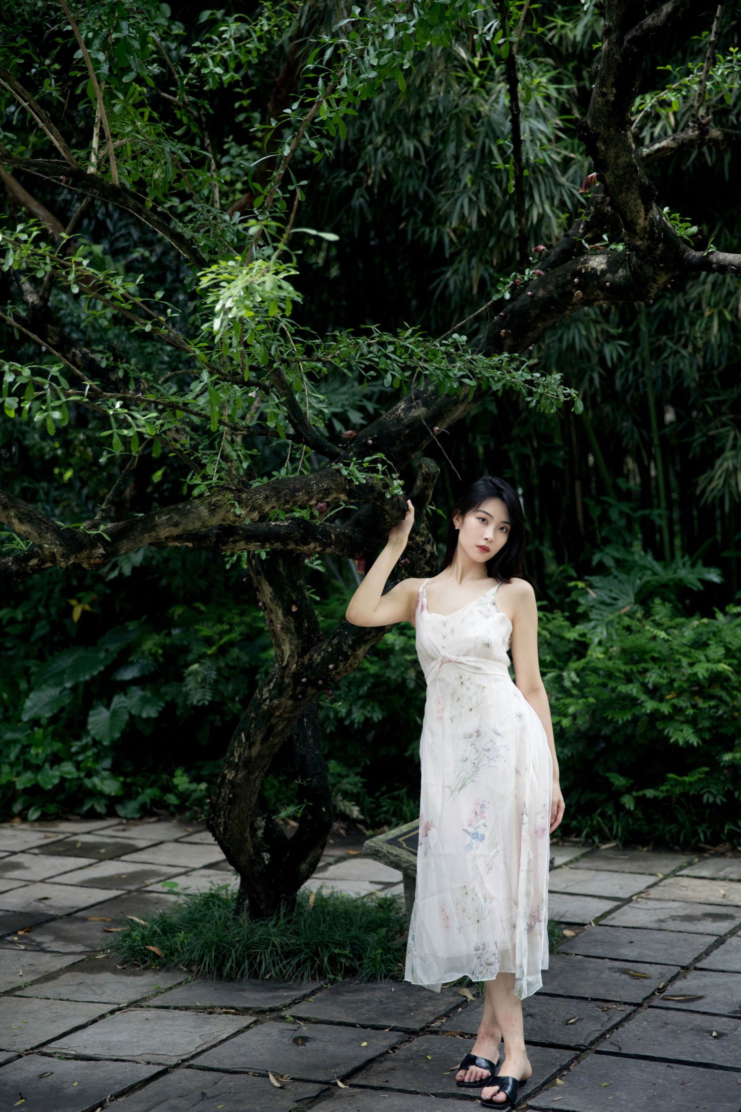 Neida – 《寻觅》[24P]