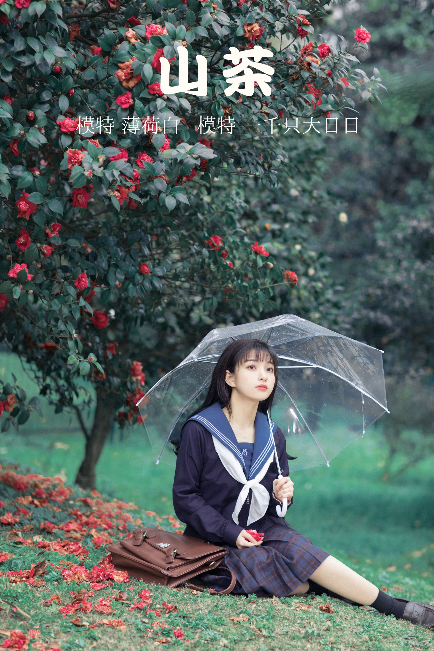 山茶