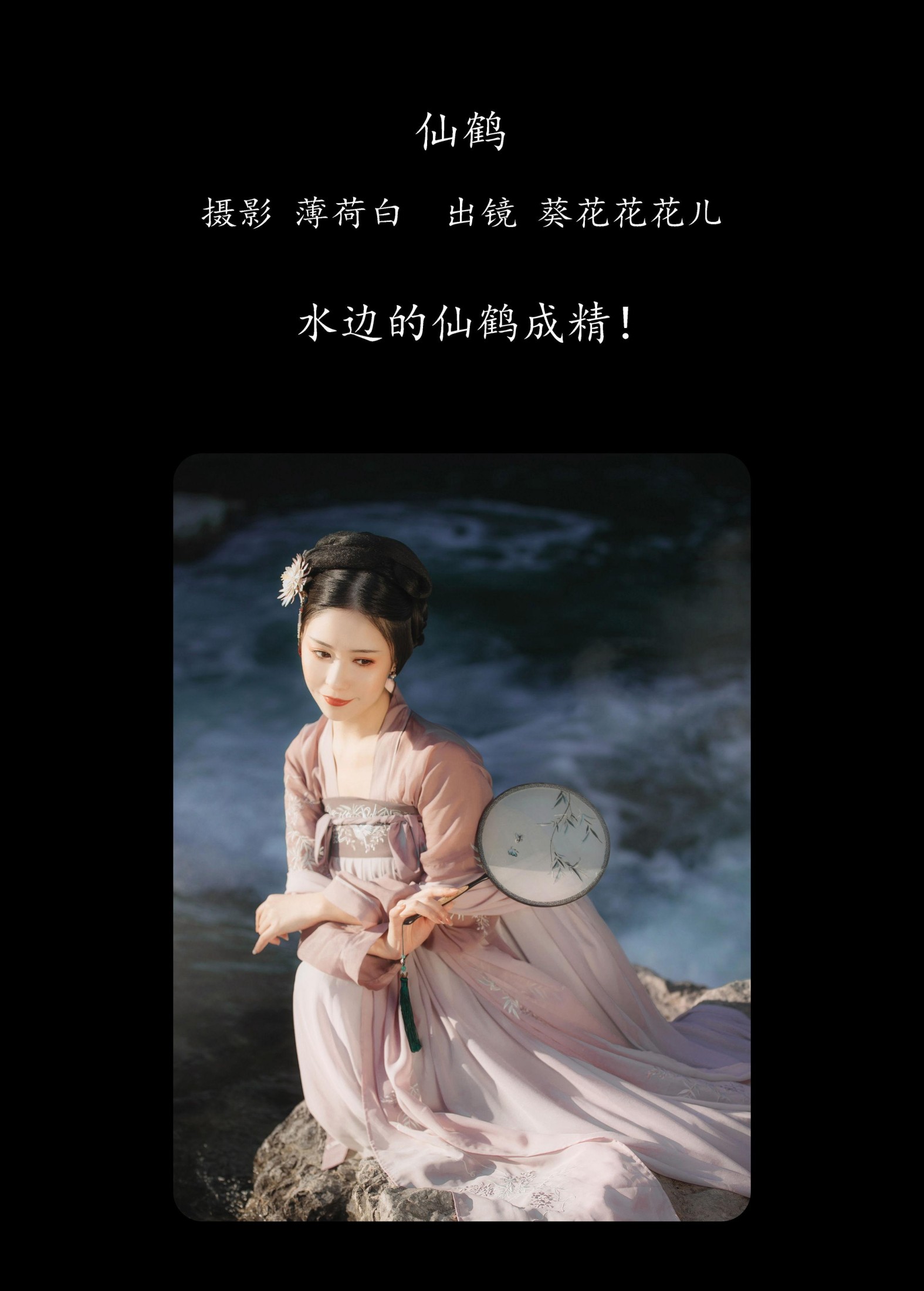 葵花花花儿 – 《仙鹤》[20P]