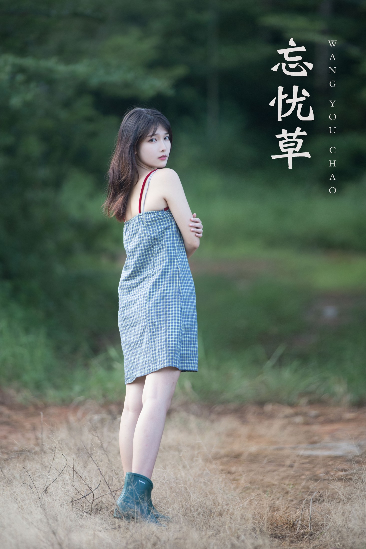 忘忧草